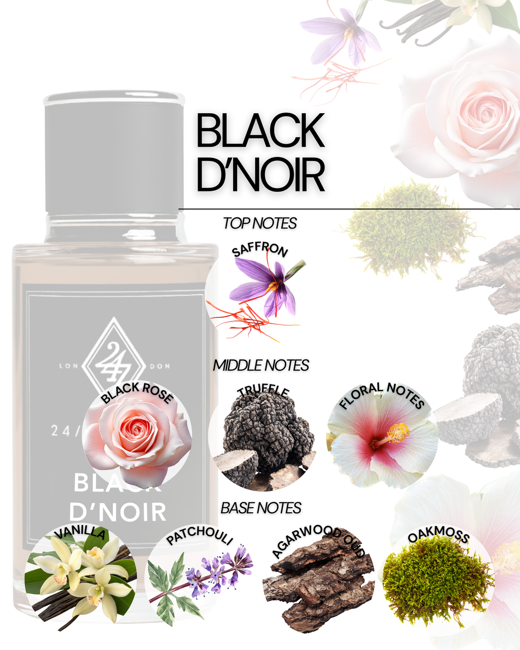 Black D’Noir 50ml Perfume – a dark, luxurious fragrance with saffron, truffle, black rose, vanilla & oud. Long-lasting Eau de Parfum for men and women