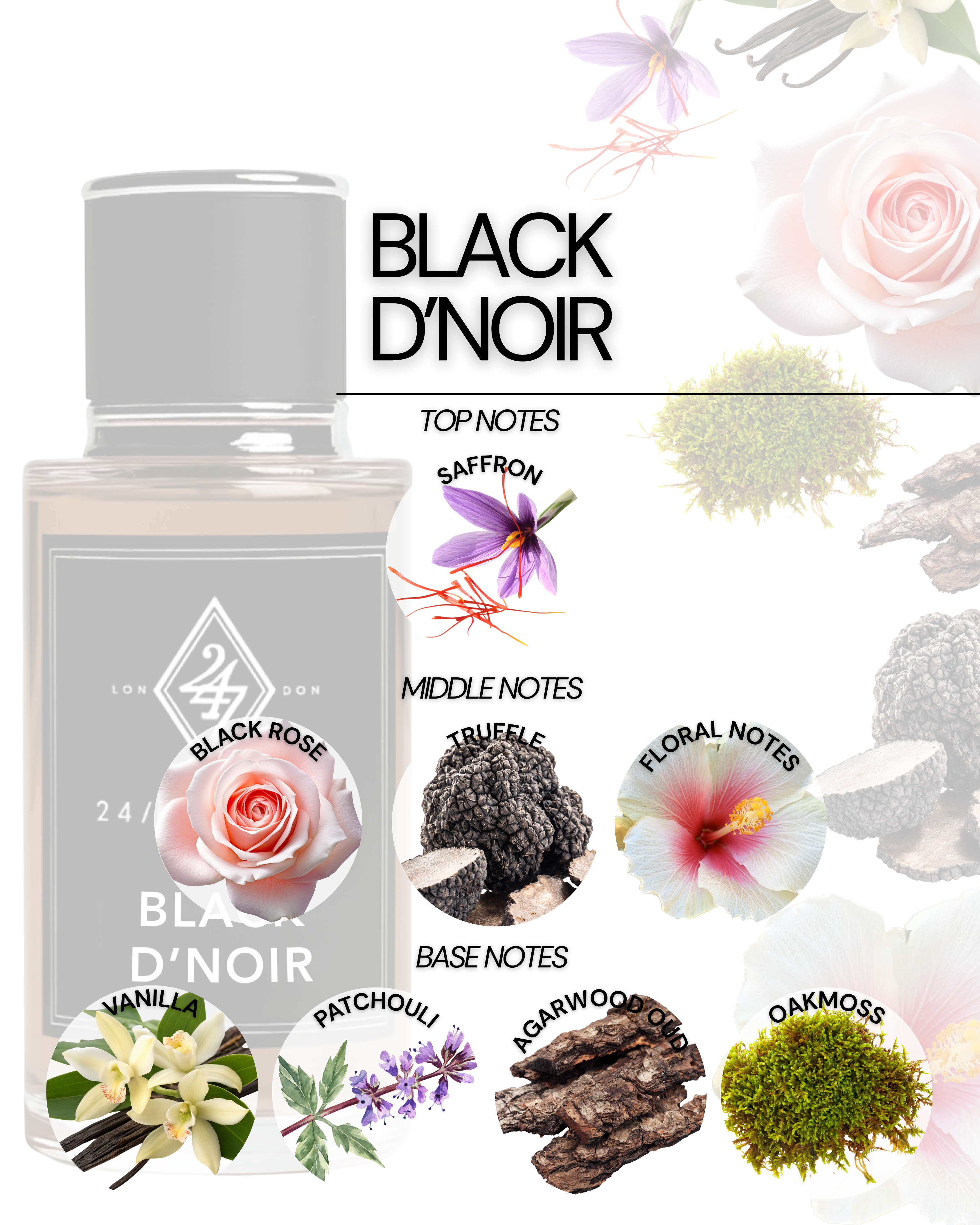 Black D’Noir 50ml Perfume – a dark, luxurious fragrance with saffron, truffle, black rose, vanilla & oud. Long-lasting Eau de Parfum for men and women