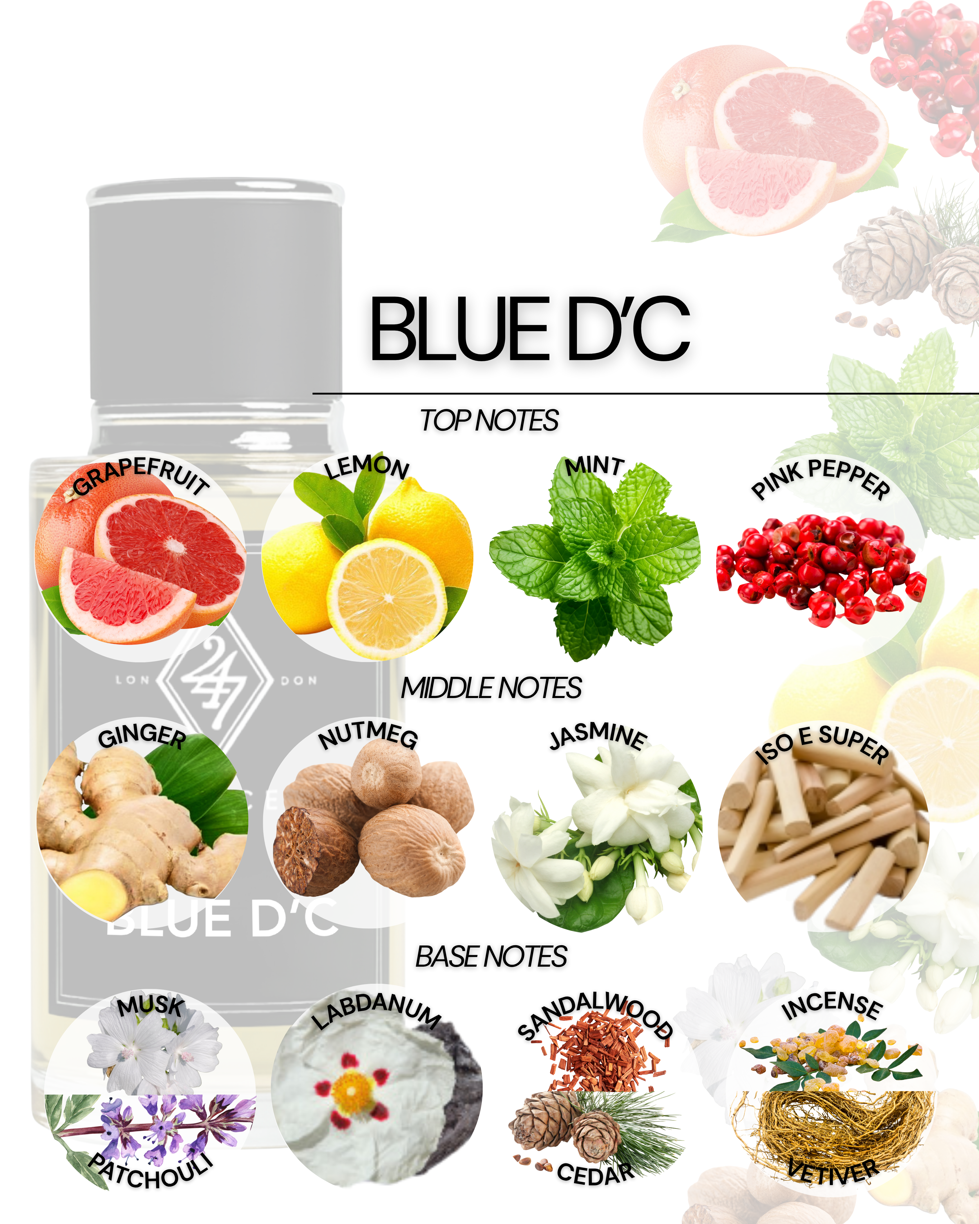 Blue D'C – a luxury fragrance with citrus, spice, and woody notes. Fresh, powerful, and long-lasting, perfect for everyday wear or special occasions.