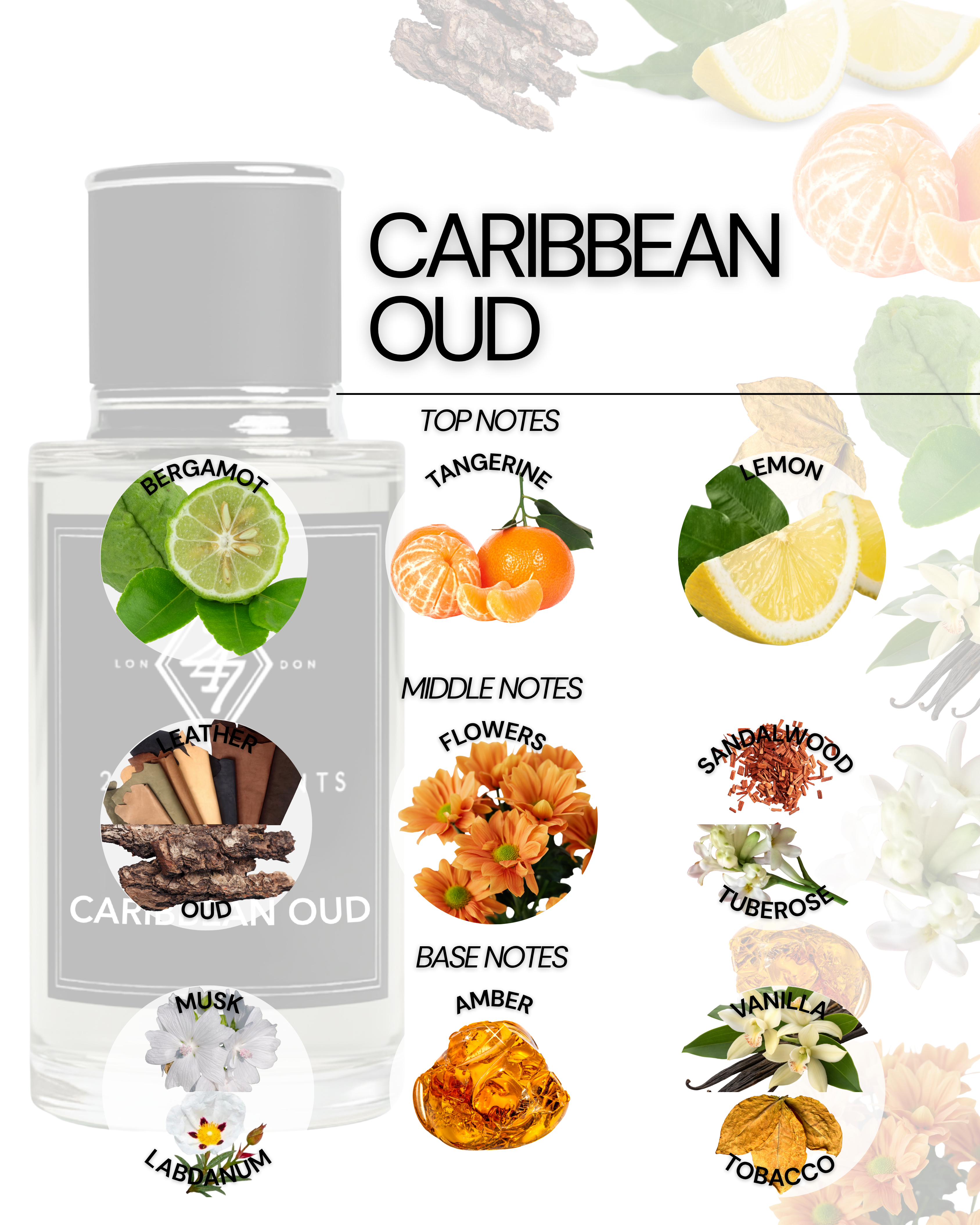 Caribbean Oud Eau de Parfum (50ml). A tropical oud blend with citrus, sandalwood, vanilla & amber. Luxurious, warm & long-lasting unisex fragrance.