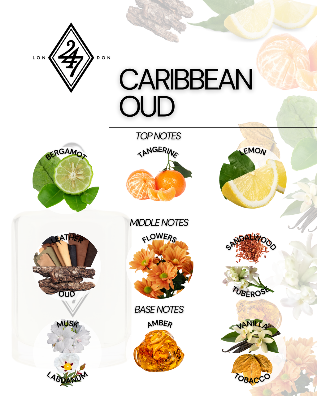 Caribbean Oud Fragrance Oil – Available in 3ml, 6ml, 12ml & 24ml. A tropical oud blend with citrus, vanilla & amber. Luxurious, warm & long-lasting.