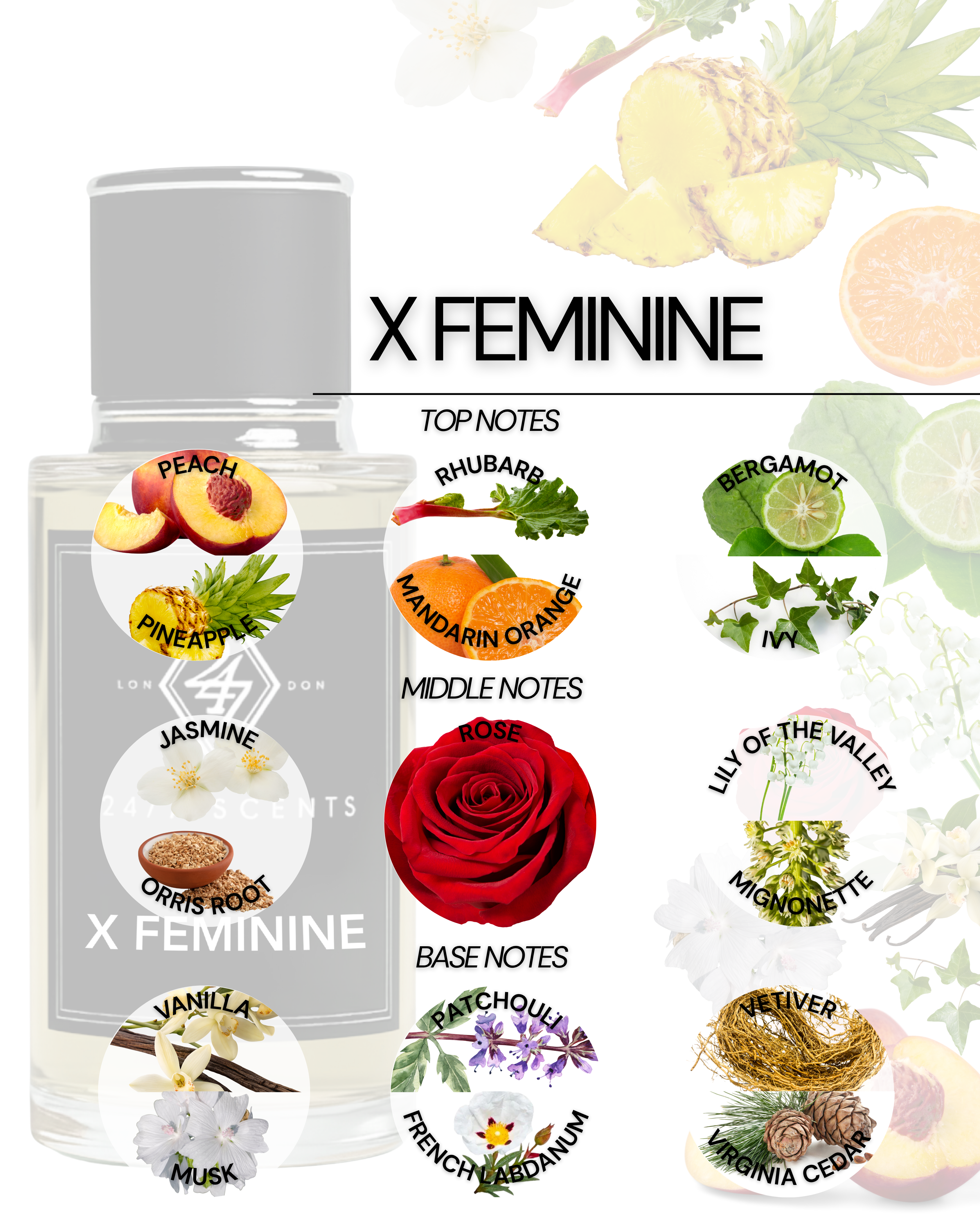 X Feminine (50ML)