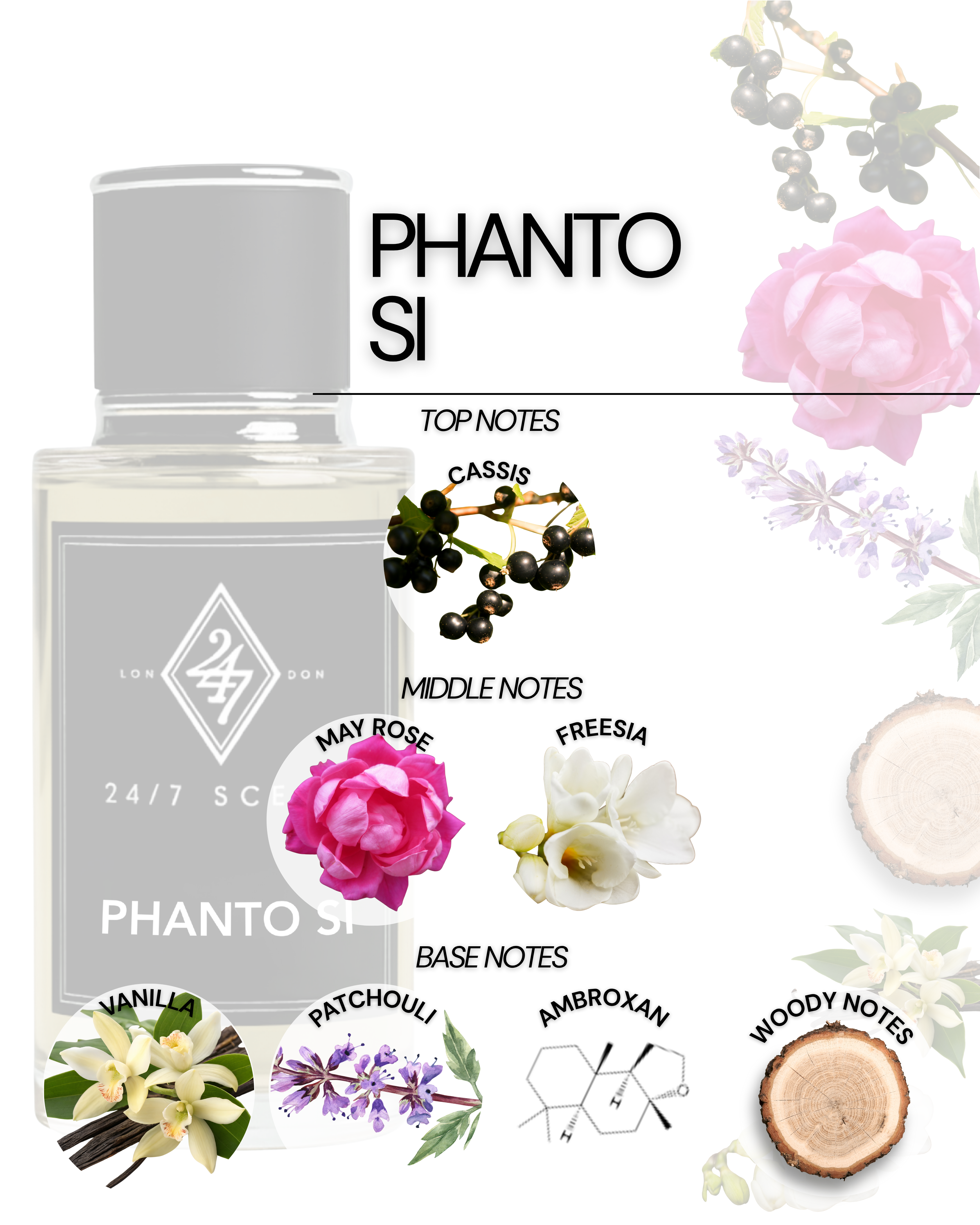 Phanto Si (50ML)