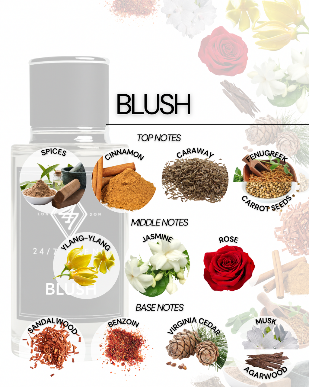 Blush (50ML)