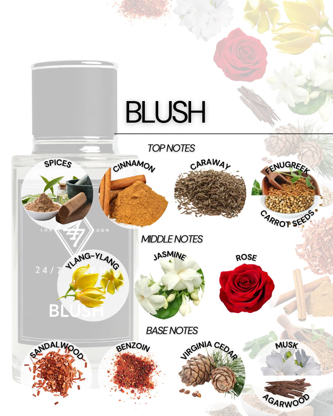 Blush (50ML)