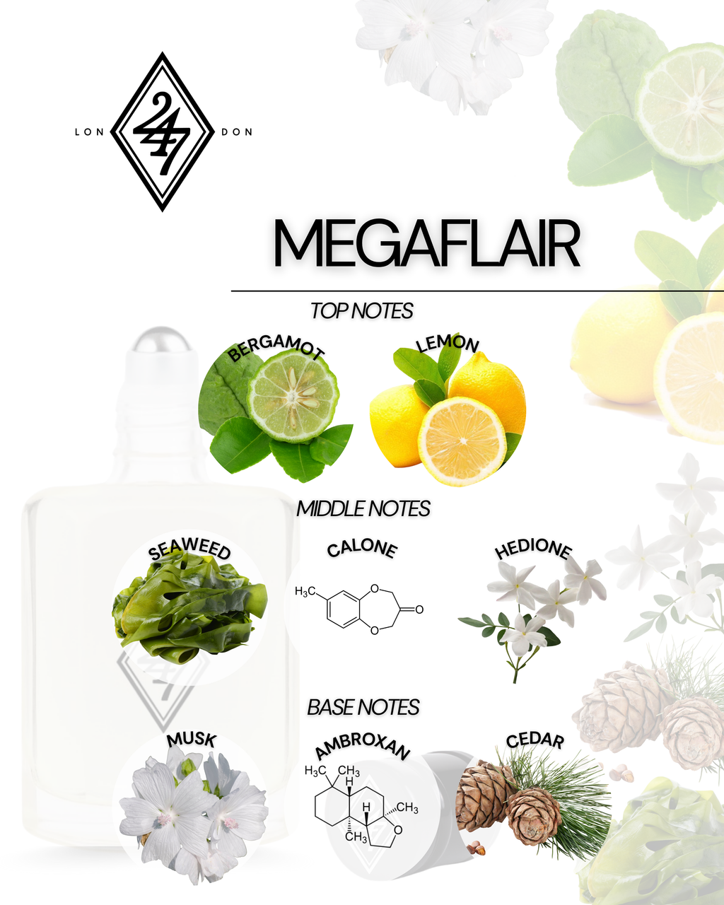 Megaflair Fragrance Oil – Available in 3ml, 6ml, 12ml & 24ml. A fresh aquatic oil with bergamot, seaweed & musk. Bold, modern & long-lasting.