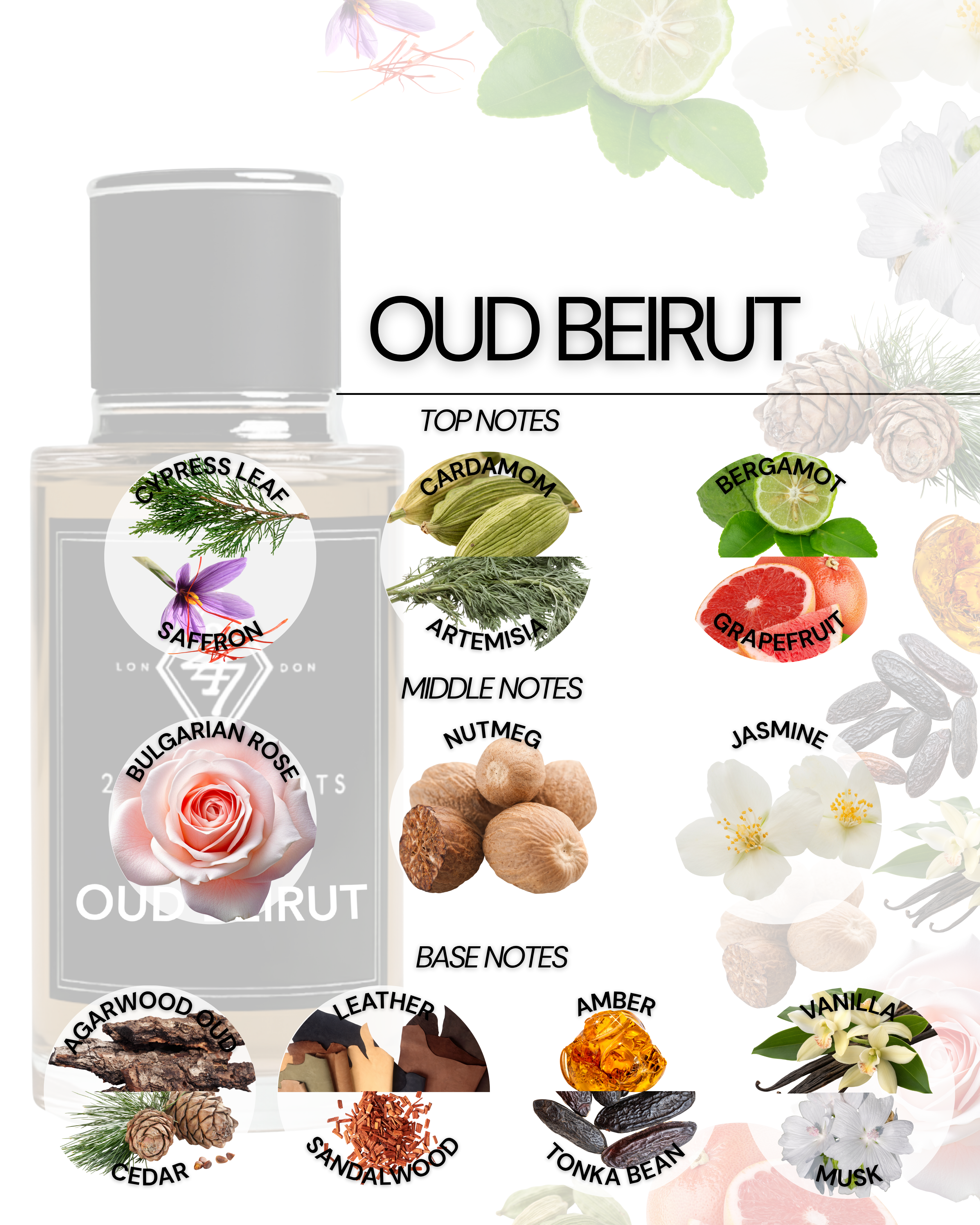 Oud Beirut captures the essence of timeless Middle Eastern luxury, combining rich spices, florals, and oud into a perfectly balanced masterpiece. Warm, smooth, and captivating, it’s a signature fragrance for those who appreciate strength, sophistication, and unforgettable scent profiles.