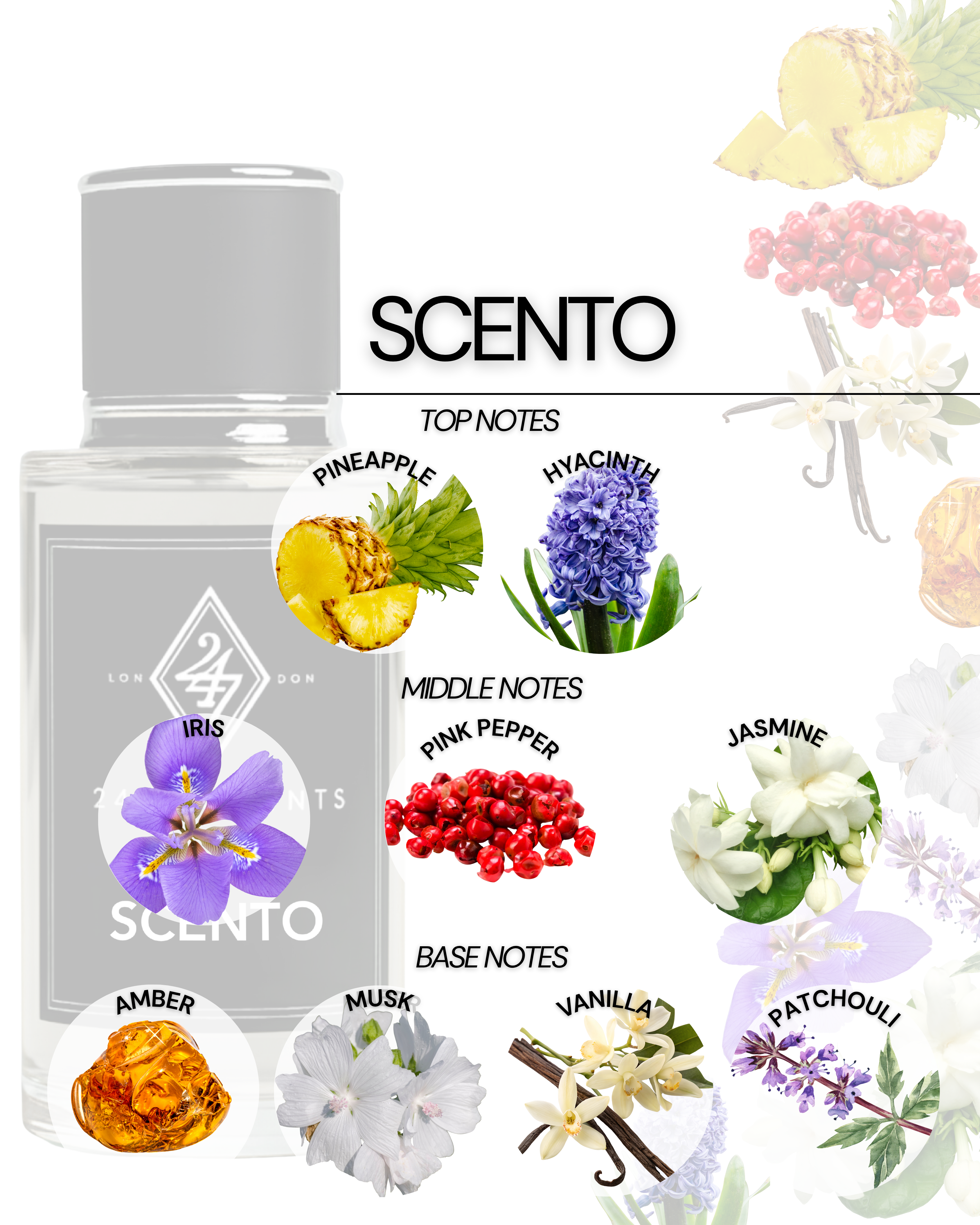 Bold yet refined, Scento Eau de Parfum is a fragrance that celebrates elegance with a vibrant twist. The scent opens with a bright and juicy blend of pineapple and hyacinth, creating a fresh and uplifting first impression. Suitable for daytime sophistication or evening allure Presented in a 50ml spray bottle for everyday use or gifting.