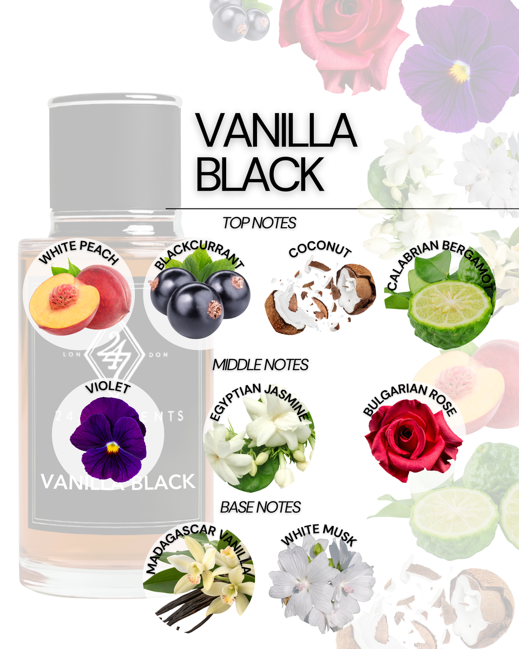 Vanilla Black – a luxury fragrance with peach, coconut, jasmine, rose, and a warm vanilla-musk base. A long-lasting, elegant scent for any occasion.