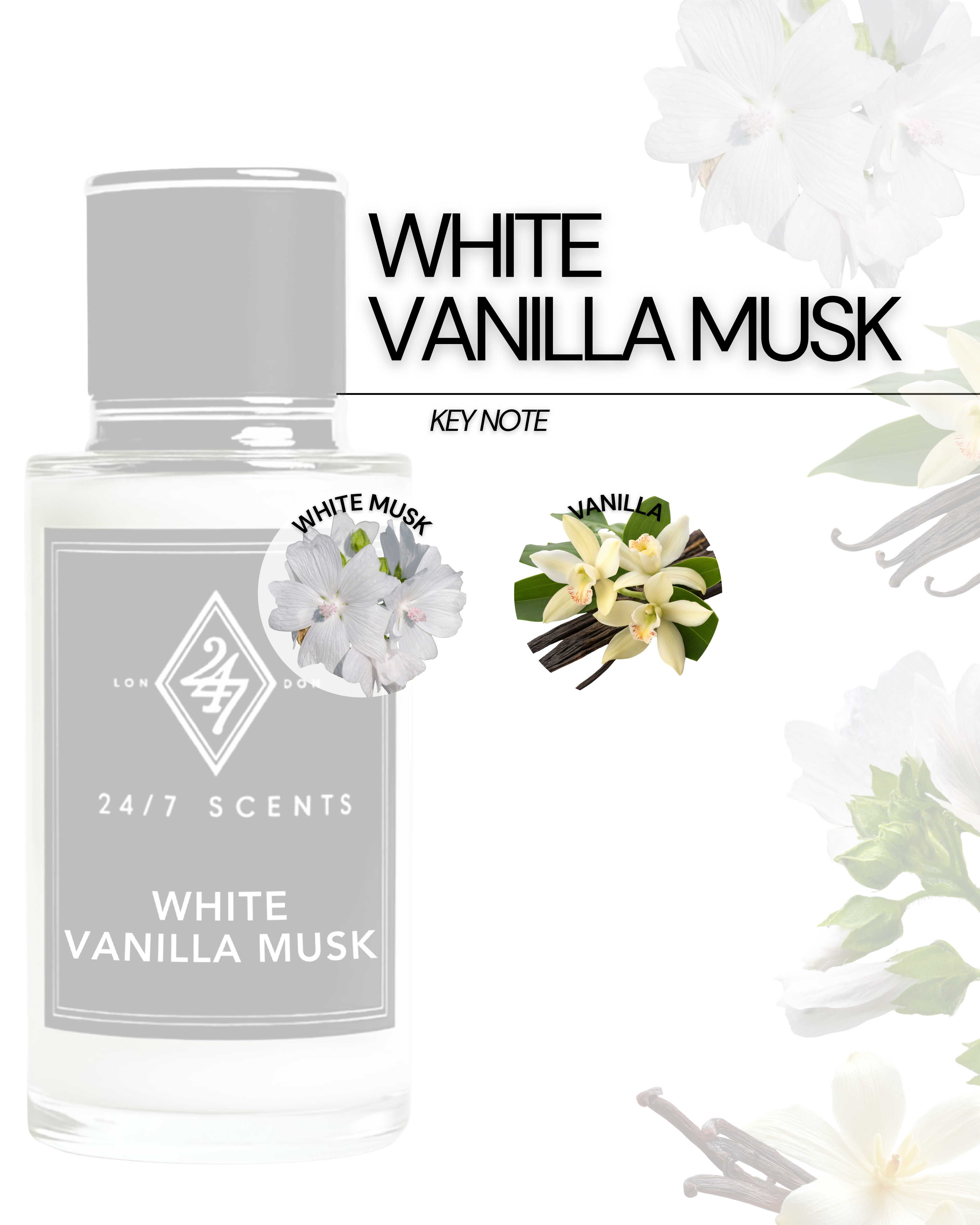 White Vanilla Musk Perfume Spray 50ml – long-lasting fragrance with creamy vanilla & soft musk. Elegant, unisex, and sophisticated for daily wear.