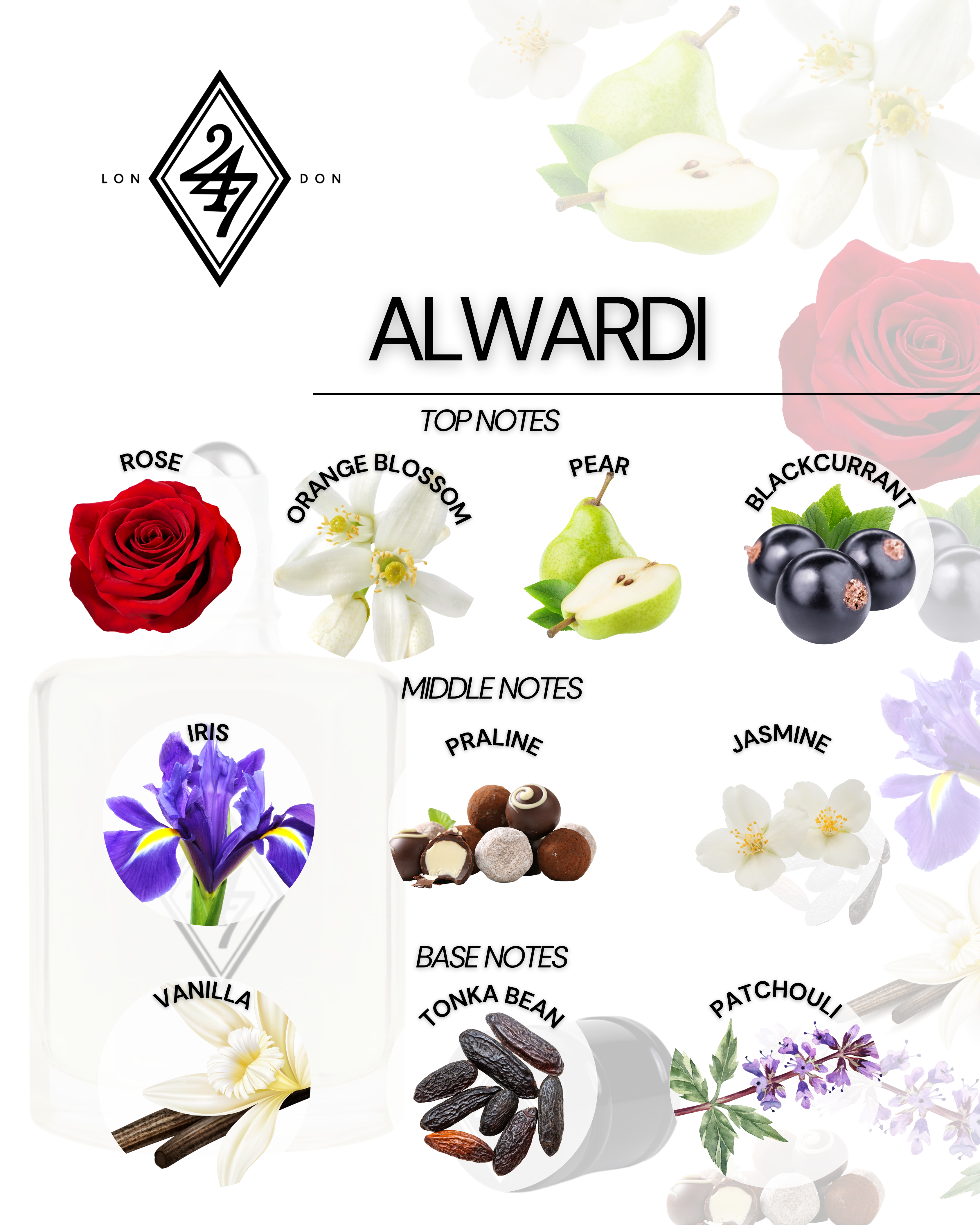 Alwardi Perfume Oil – Alcohol-free, long-lasting fragrance oil with rose, orange blossom, pear & blackcurrant top notes, a floral-gourmand heart of iris, praline & jasmine, and a warm vanilla, tonka bean & patchouli base. Available in 3ml, 6ml, 12ml & 24ml sizes.