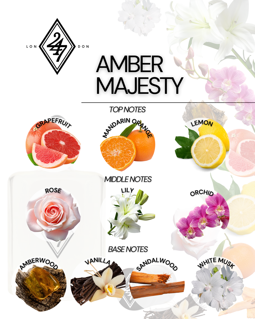 Amber Majesty Perfume Oil – Alcohol-free, long-lasting fragrance oil with grapefruit, mandarin & lemon, a floral heart of rose, lily & orchid, and a warm amberwood, vanilla, sandalwood & white musk base. Available in 3ml, 6ml, 12ml & 24ml.