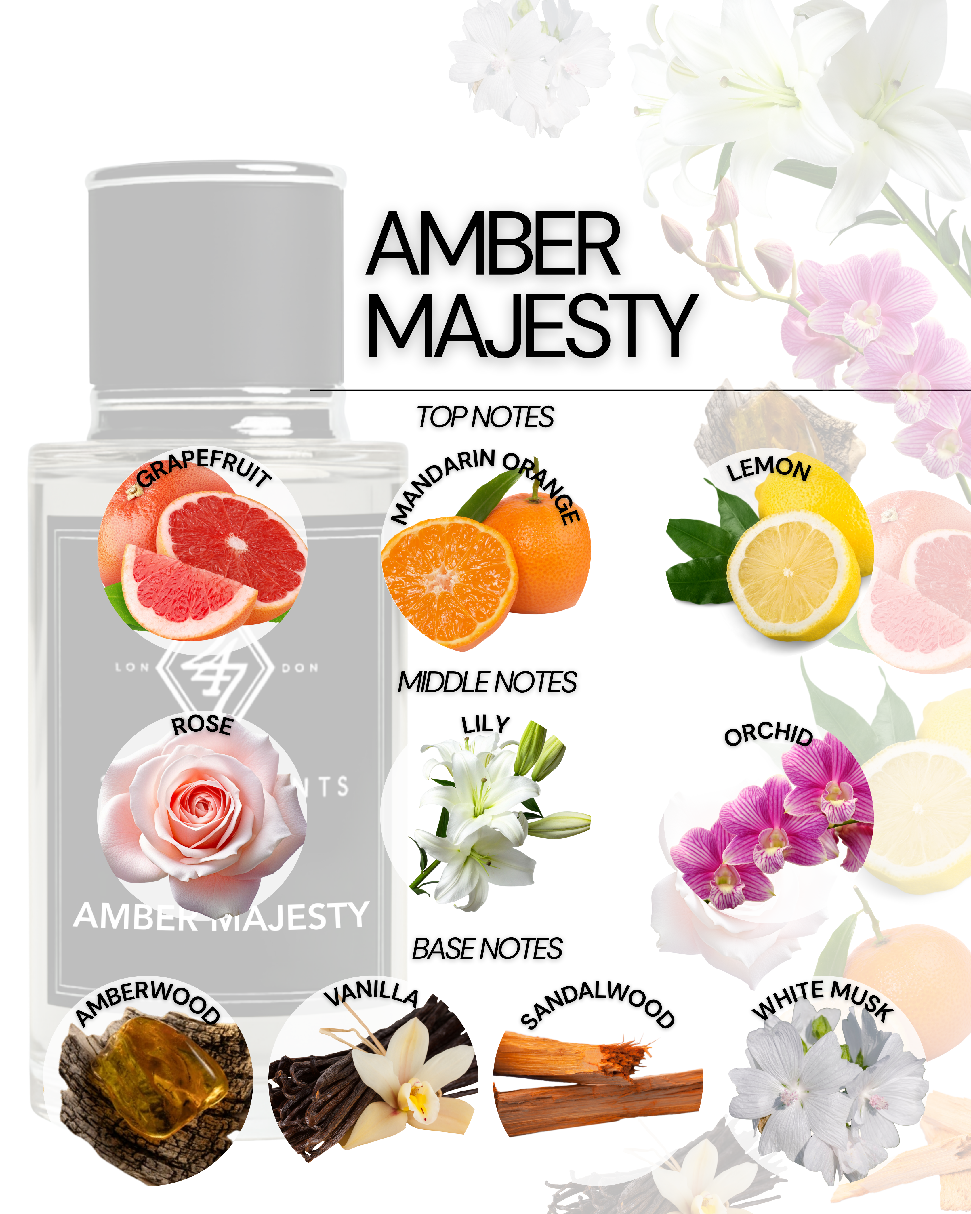 Amber Majesty Eau de Parfum 50ml – A unisex fragrance with citrus top notes of grapefruit, mandarin & lemon, floral rose, lily & orchid heart, and a warm amberwood, vanilla, sandalwood & white musk base. Elegant & long-lasting.