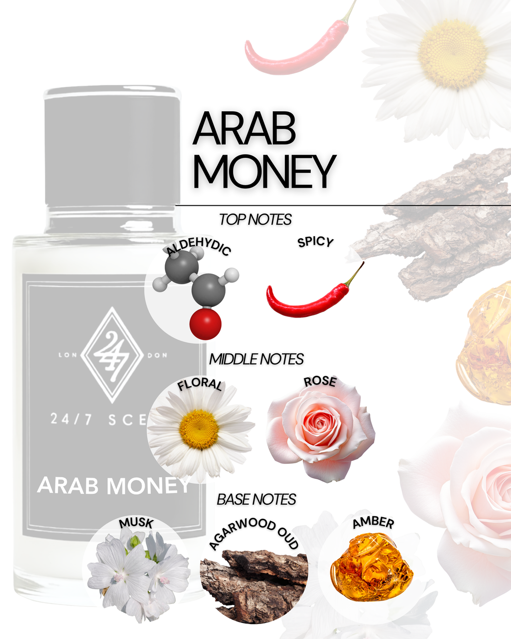Arab Money Perfume Oil – unisex fragrance with aldehyde, spices, rose, musk & amber. Alcohol-free, long-lasting, and luxurious.