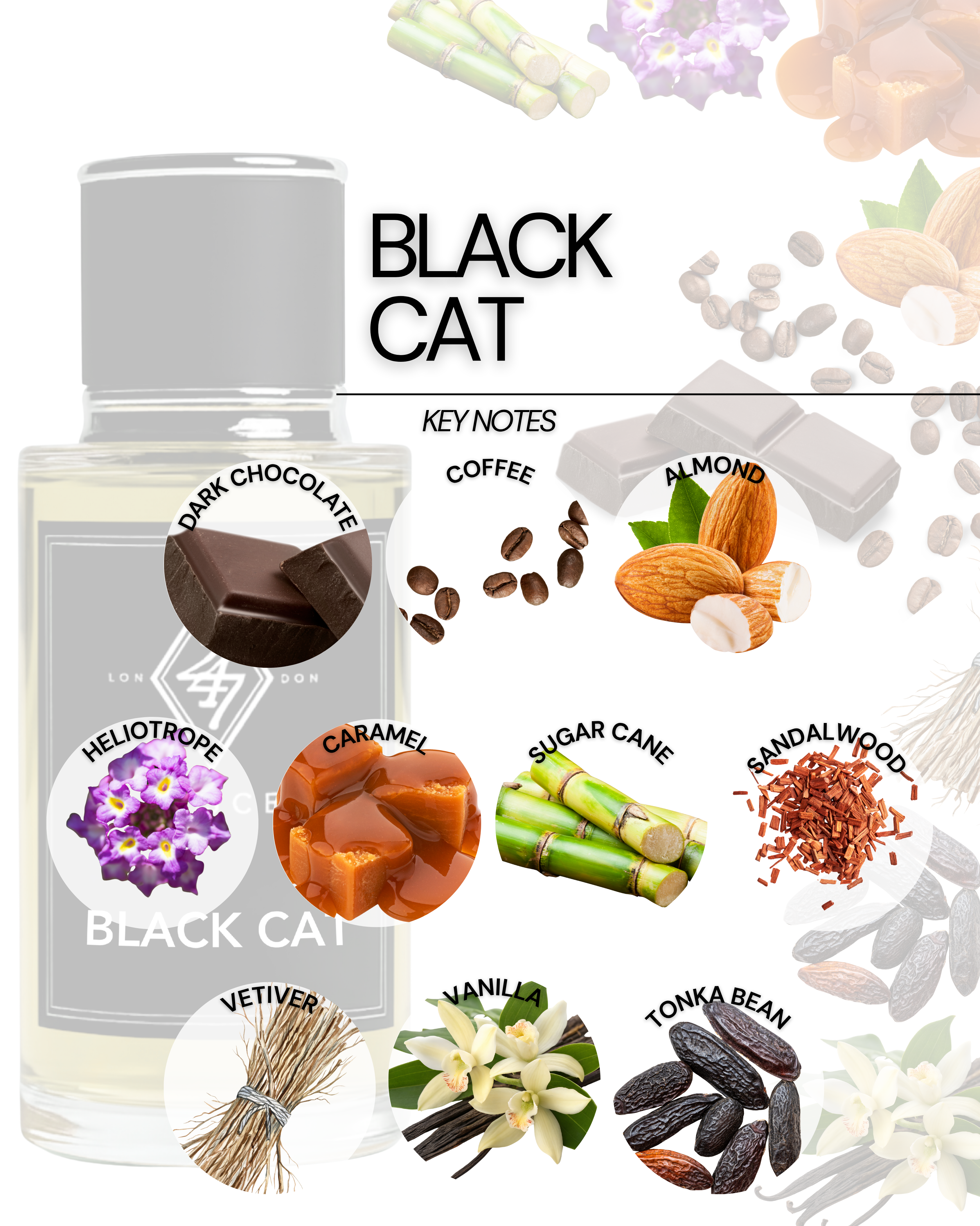 Black Cat 50ml Perfume – a seductive gourmand fragrance with coffee, caramel, vetiver & dark chocolate. Long-lasting, unisex & luxurious.
