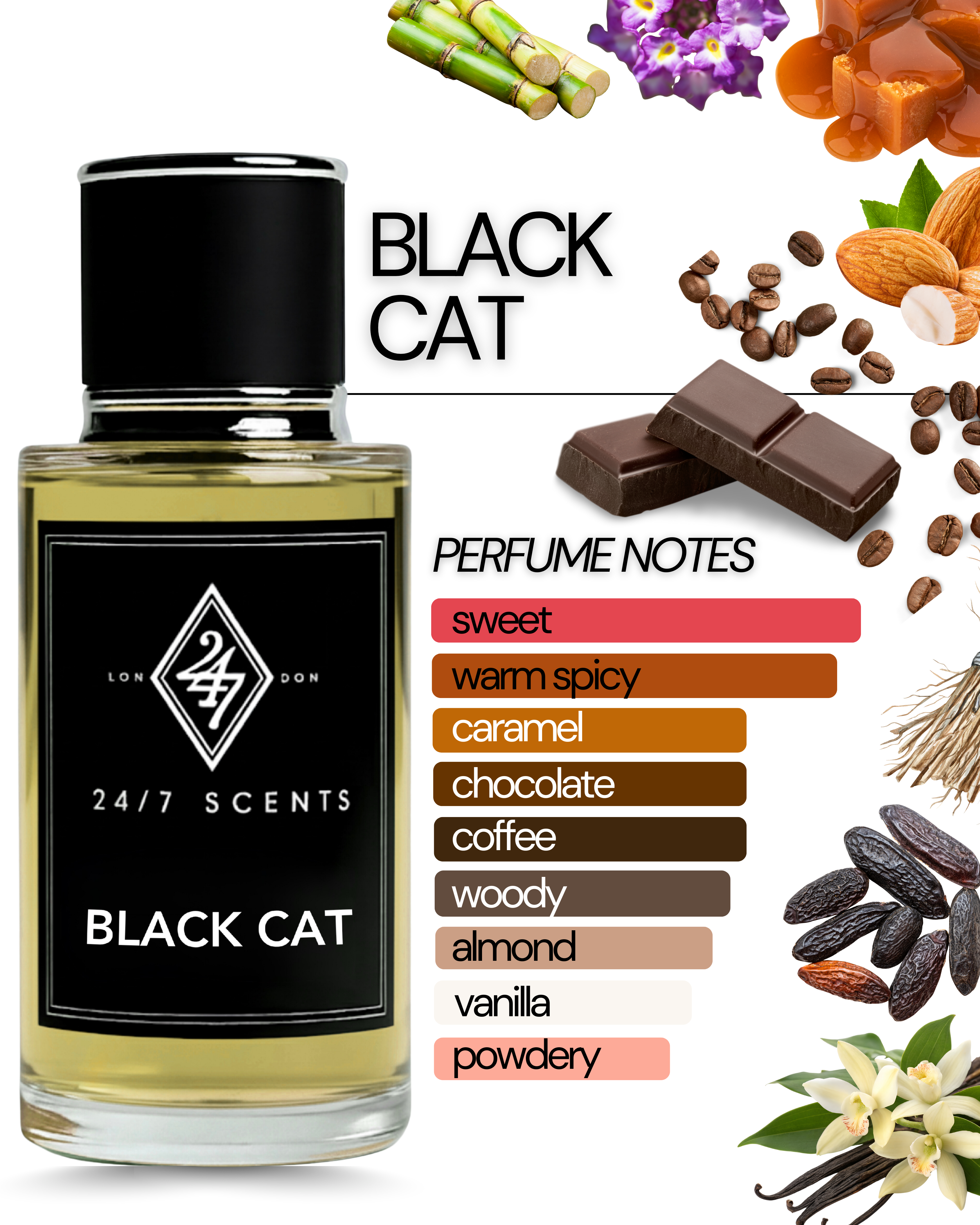 Black Cat 50ml Perfume – a seductive gourmand fragrance with coffee, caramel, vetiver & dark chocolate. Long-lasting, unisex & luxurious.