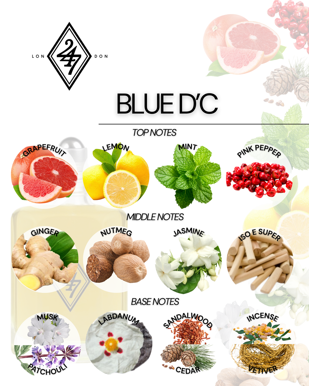 Blue D'C Fragrance Oil – Available in 3ml, 6ml, 12ml & 24ml. A bold blend of citrus, spice & woods. Confident, versatile & long-lasting.