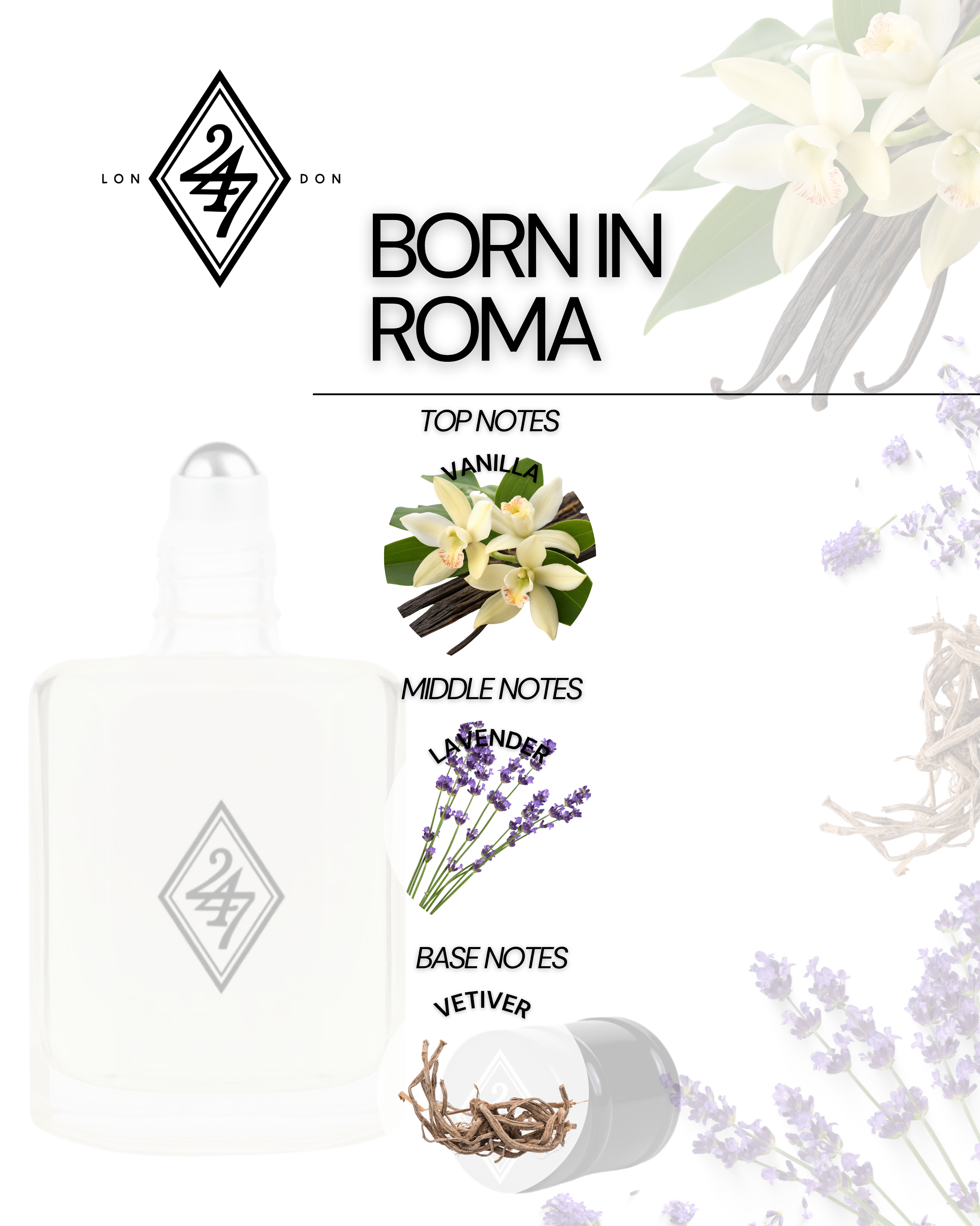Born in Roma Perfume Oil – Alcohol-free, long-lasting fragrance oil with vanilla, lavender &amp; vetiver. Available in 3ml, 6ml, 12ml &amp; 24ml sizes. Elegant, modern &amp; skin-friendly.