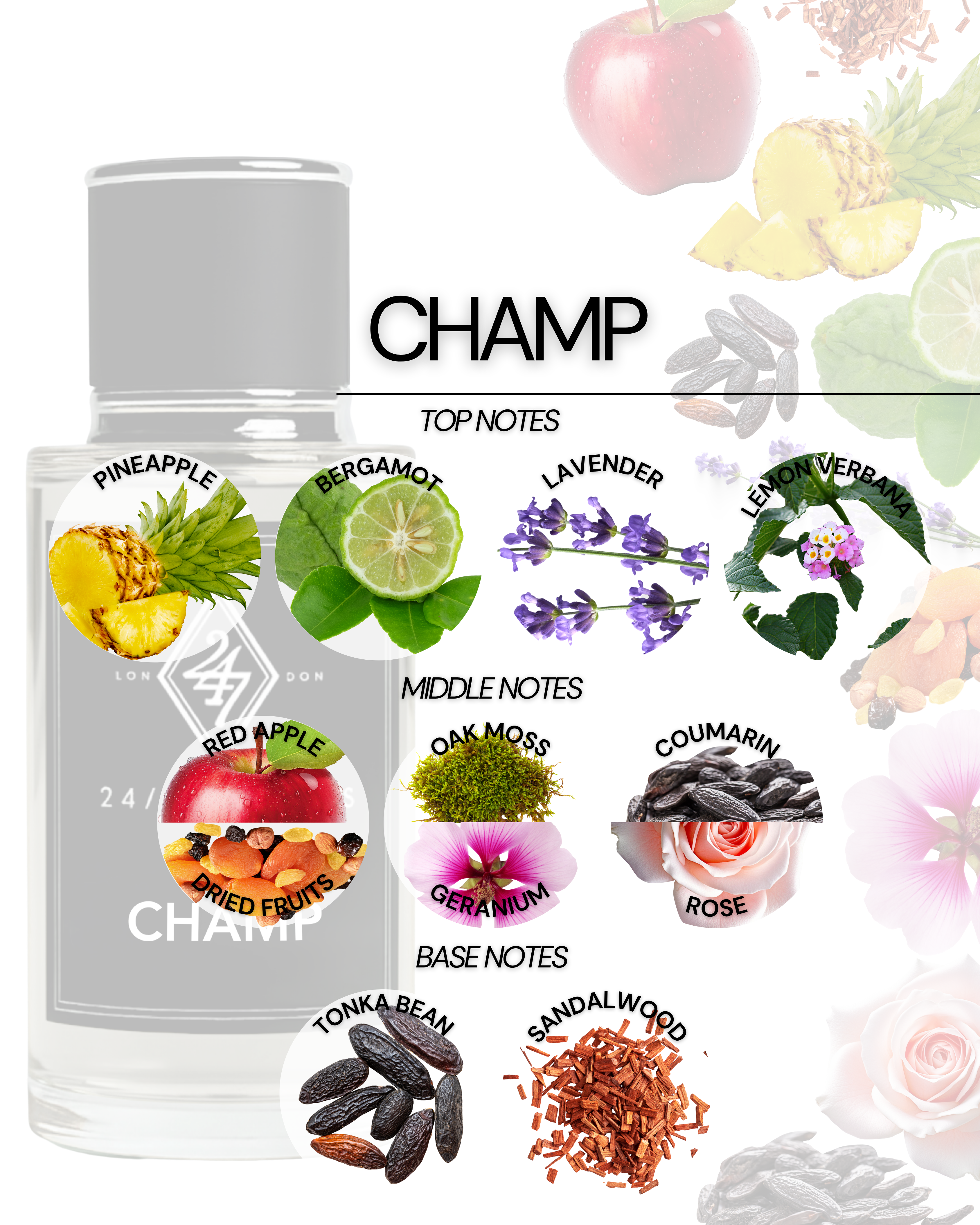 Classic yet modern, Champ Eau de Parfum is a fragrance designed for men who embody strength, charm, and sophistication. It opens with an energetic burst of pineapple, bergamot, lavender, and lemon verbena, creating a crisp and refreshing introduction. 