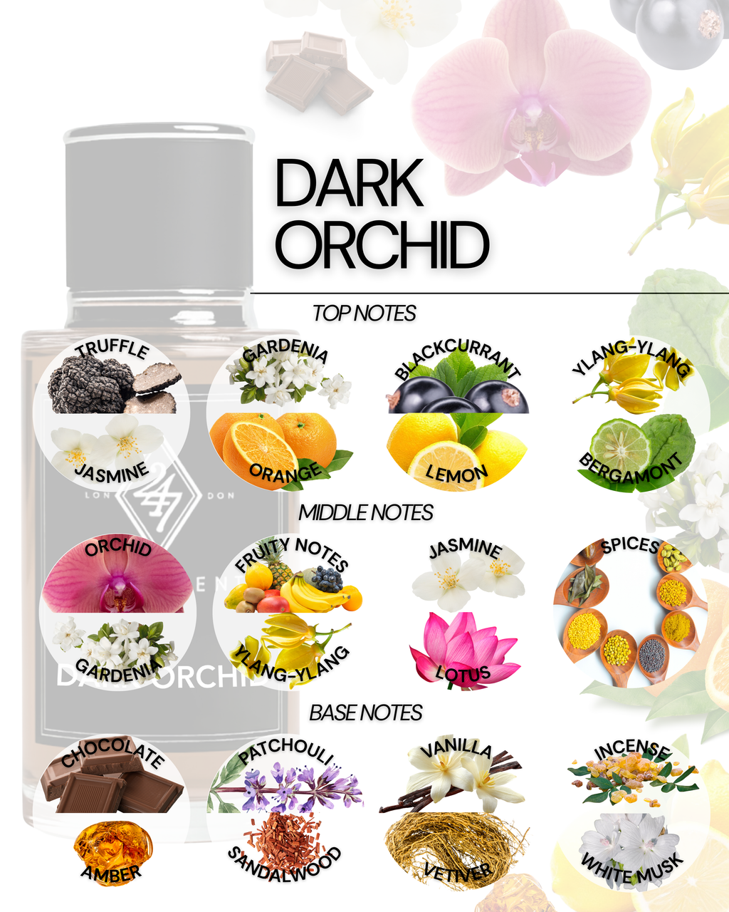 Dark Orchid 50ml Perfume Spray – a luxurious fragrance with blackcurrant, jasmine, orchid, vanilla & sandalwood. Long-lasting, unisex & sophisticated.