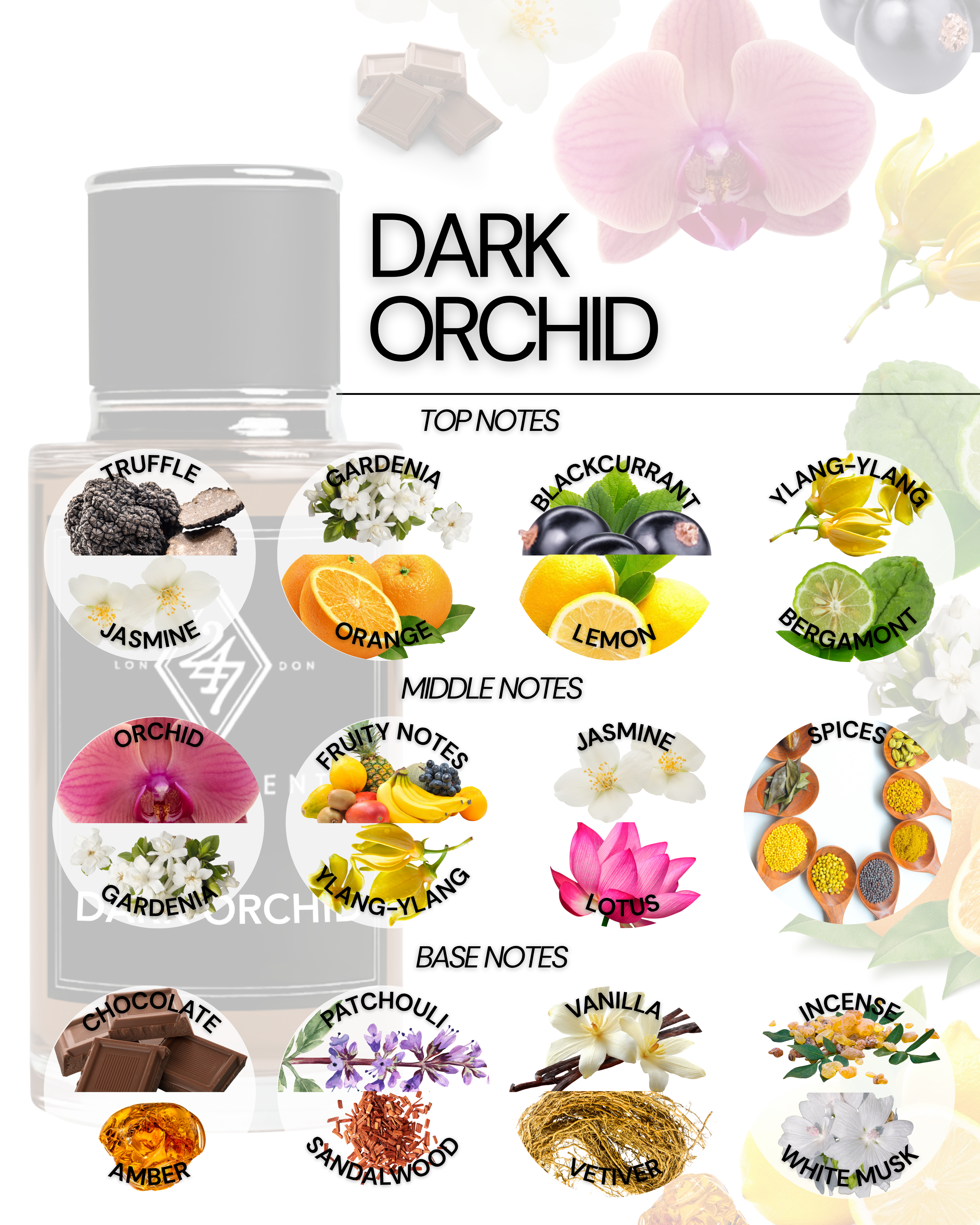 Dark Orchid 50ml Perfume Spray – a luxurious fragrance with blackcurrant, jasmine, orchid, vanilla & sandalwood. Long-lasting, unisex & sophisticated.