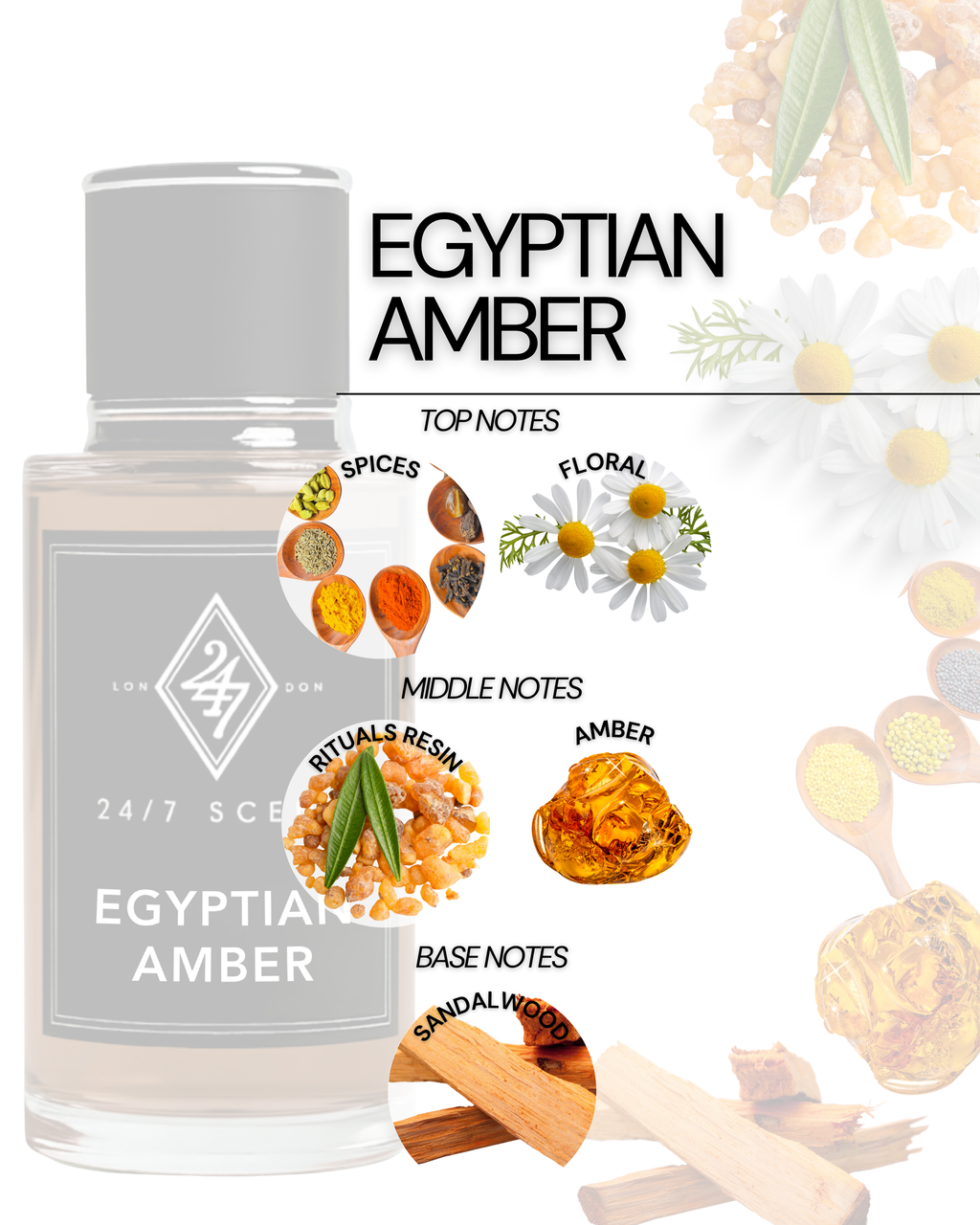 Egyptian Amber Perfume – a warm, luxurious amber fragrance with spices, resin, and sandalwood. Long-lasting, unisex, and timelessly elegant.