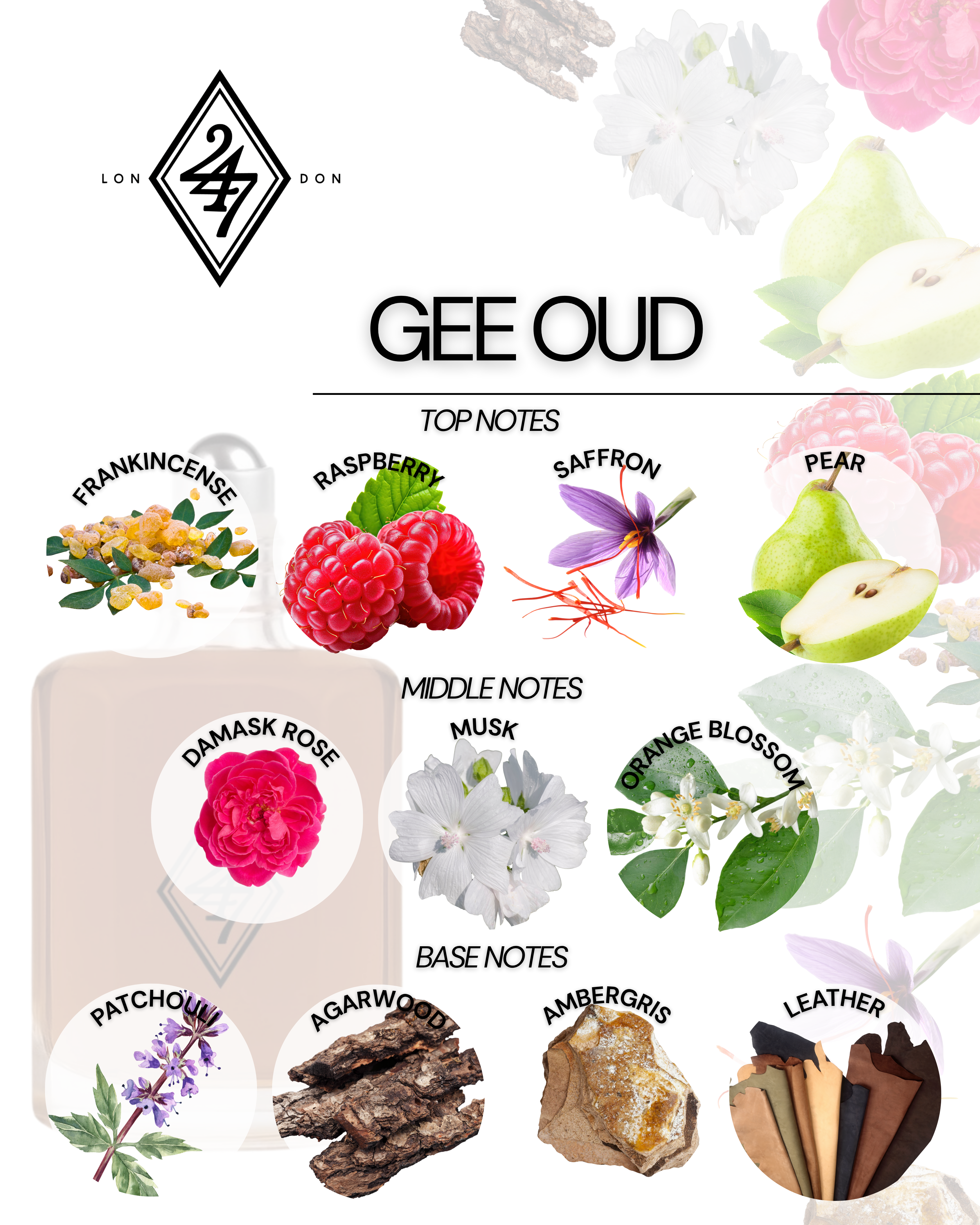 Gee Oud Fragrance Oil – Available in 3ml, 6ml, 12ml & 24ml. A luxurious oud oil with raspberry, rose, ambergris & leather. Bold, elegant & long-lasting.