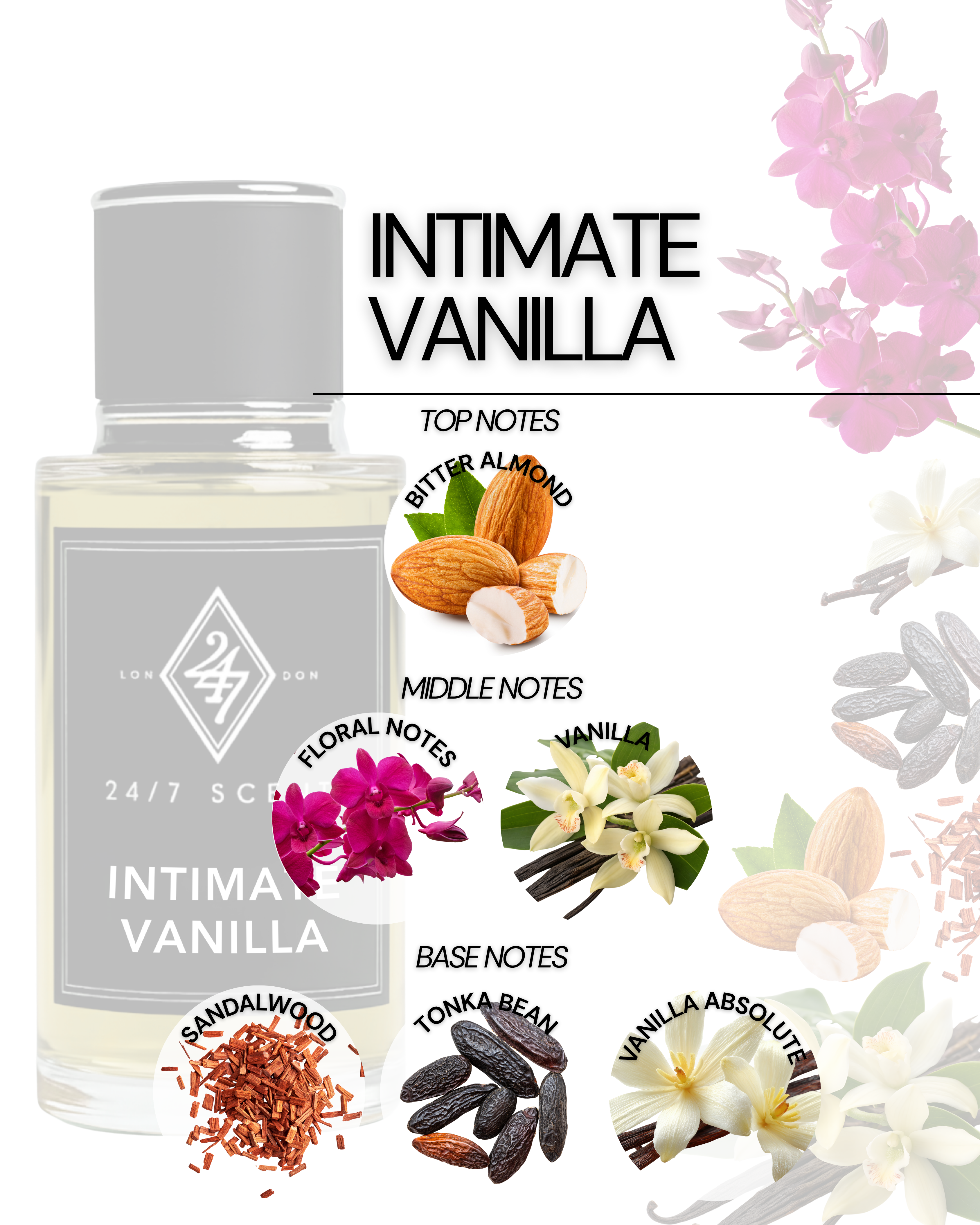 Intimate Vanilla Eau de Parfum (50ml). A sensual vanilla fragrance with almond, sandalwood, and tonka bean. Warm, elegant, and long-lasting.