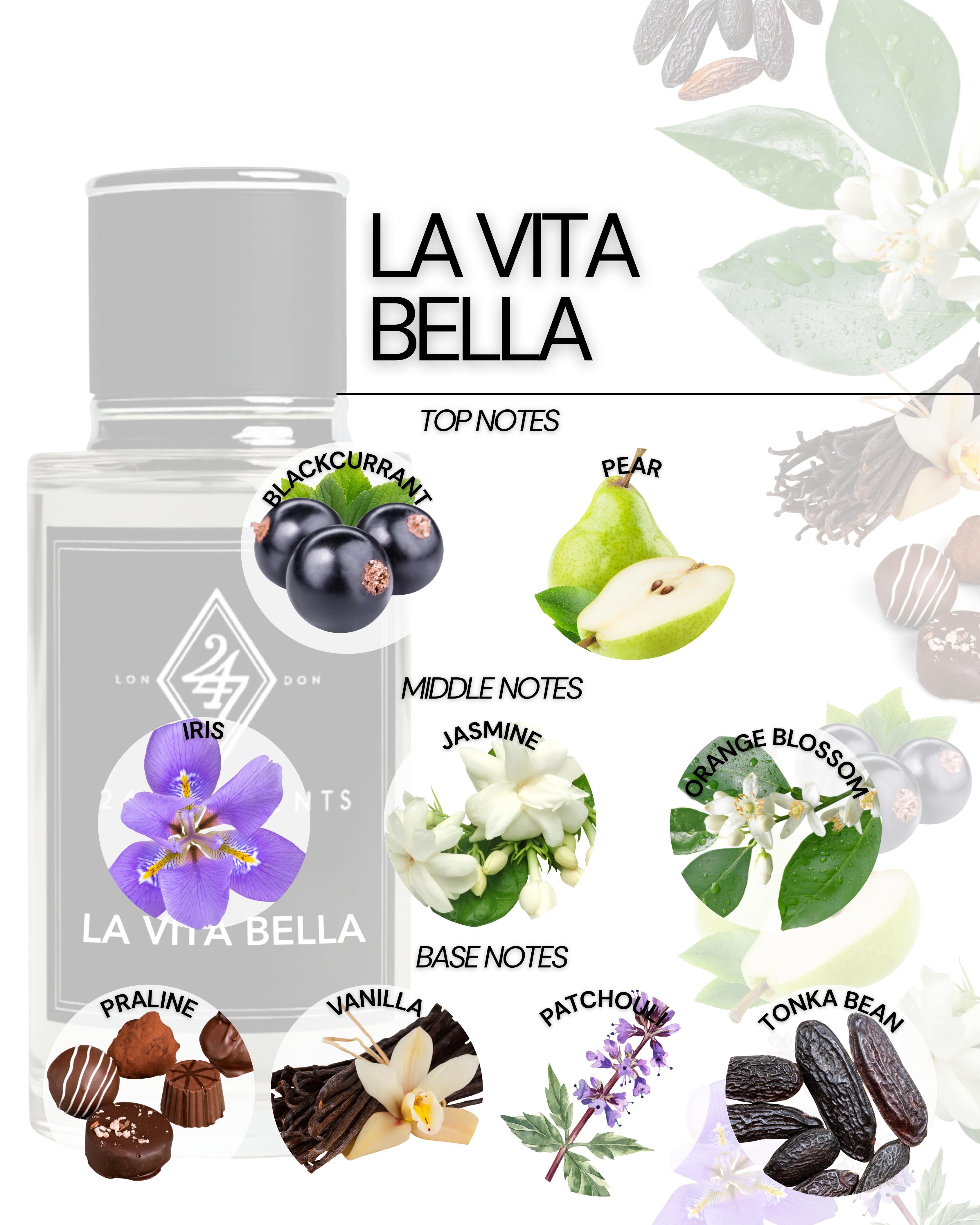 La Vita Bella Eau de Parfum 50ml – A women’s fragrance with blackcurrant & pear, floral iris, jasmine & orange blossom, and a warm praline, vanilla, patchouli & tonka bean base. Sweet, elegant & long-lasting.