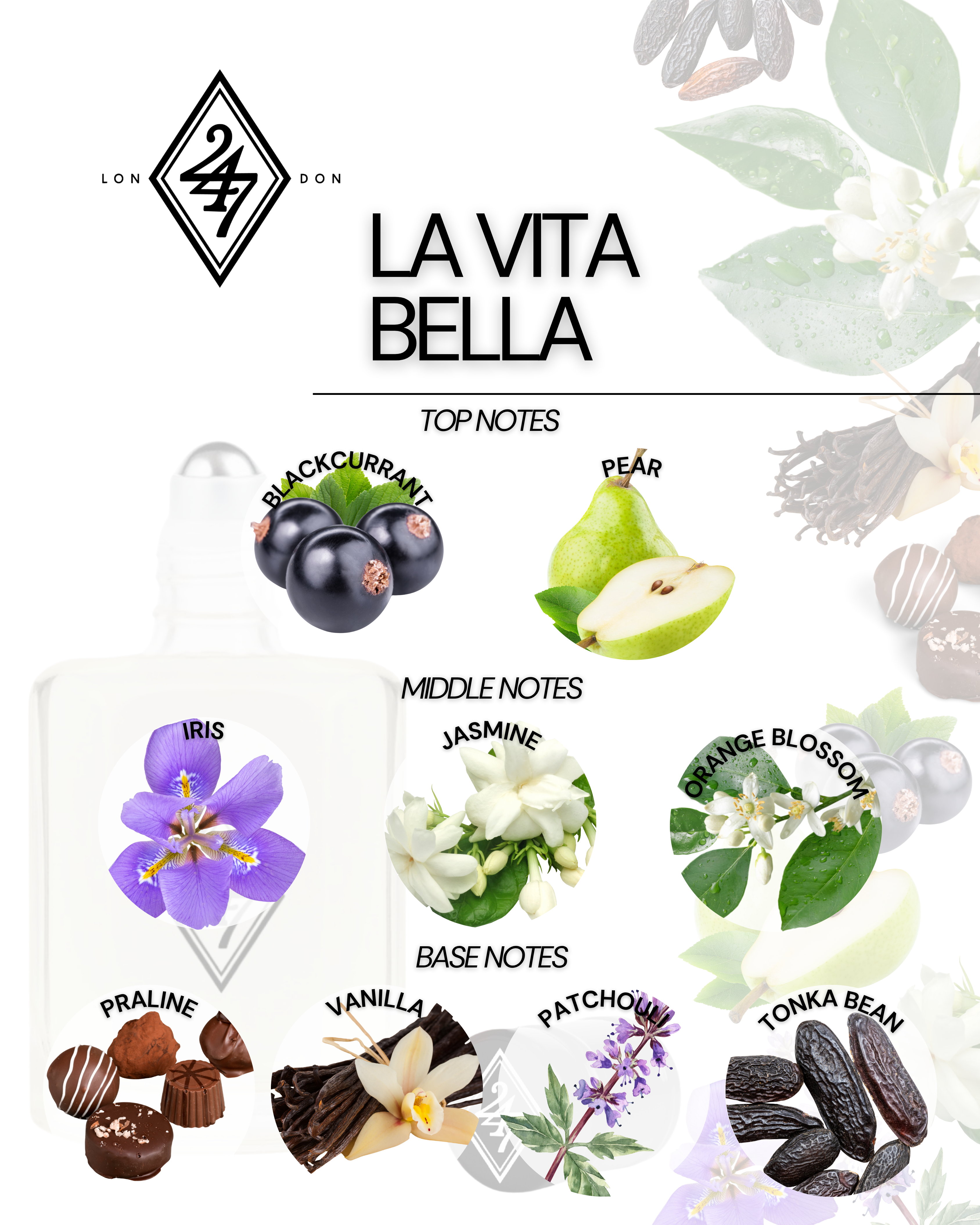 La Vita Bella Perfume Oil – Alcohol-free, long-lasting fragrance oil with blackcurrant & pear, floral iris, jasmine & orange blossom, and a gourmand base of praline, vanilla, patchouli & tonka bean. Available in 3ml, 6ml, 12ml & 24ml sizes.