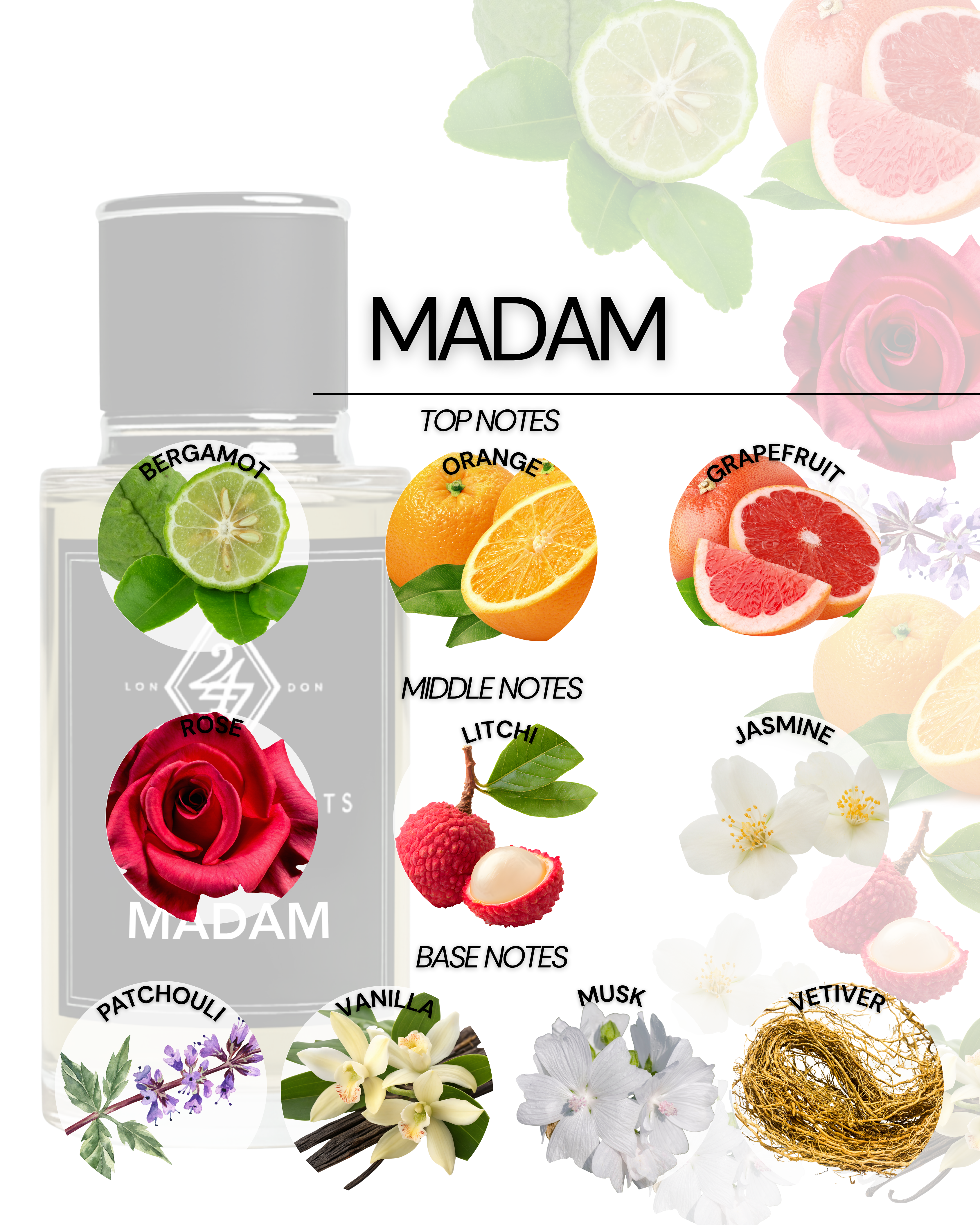 Madam Eau de Parfum (50ml). A timeless fragrance with bergamot, rose, jasmine, and patchouli. Elegant, feminine, and long-lasting.