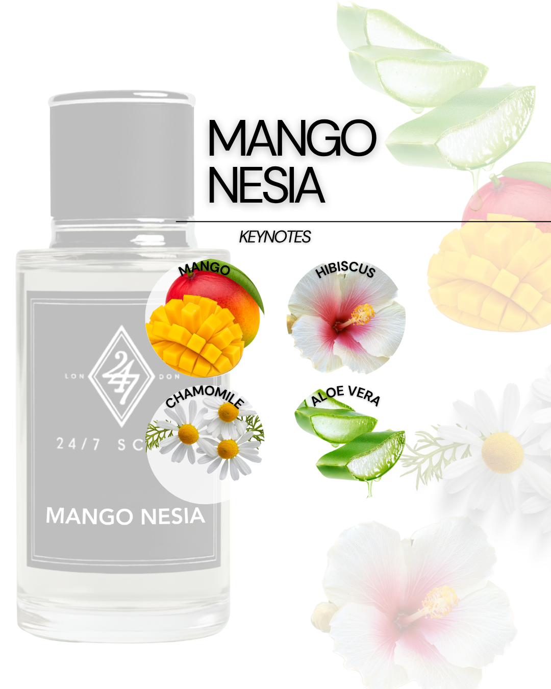 Mango Nesía Eau de Parfum 50ml – A tropical fragrance with mango, hibiscus, chamomile & refreshing aloe vera. Sweet, playful & long-lasting women’s perfume.
