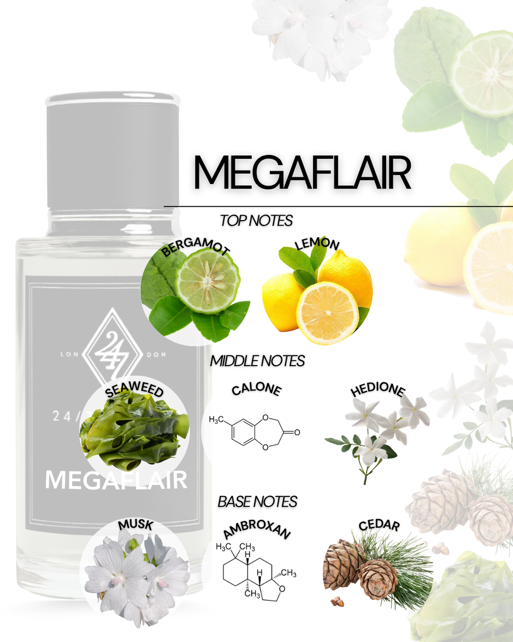 Megaflair Eau de Parfum 50ml – A bold unisex fragrance with bergamot & lemon top notes, marine heart of seaweed, calone & hedione, and a deep base of musk, ambroxan & cedar. Fresh, aquatic & long-lasting.
