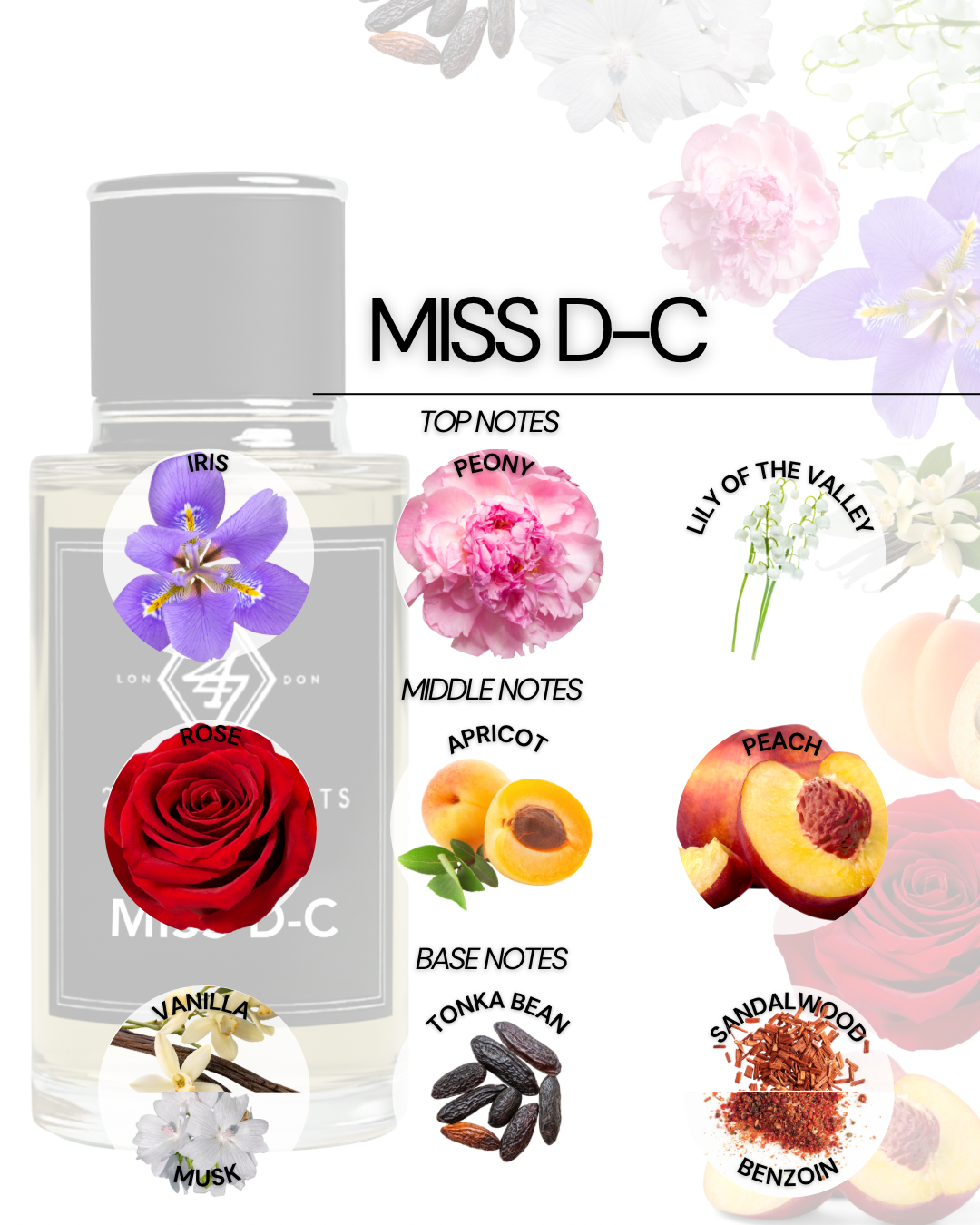 Miss D-C Eau de Parfum 50ml – A women’s fragrance with iris, peony & lily of the valley, a fruity-floral heart of rose, apricot & peach, and a warm vanilla, musk, tonka bean, sandalwood & benzoin base. Elegant & long-lasting.
