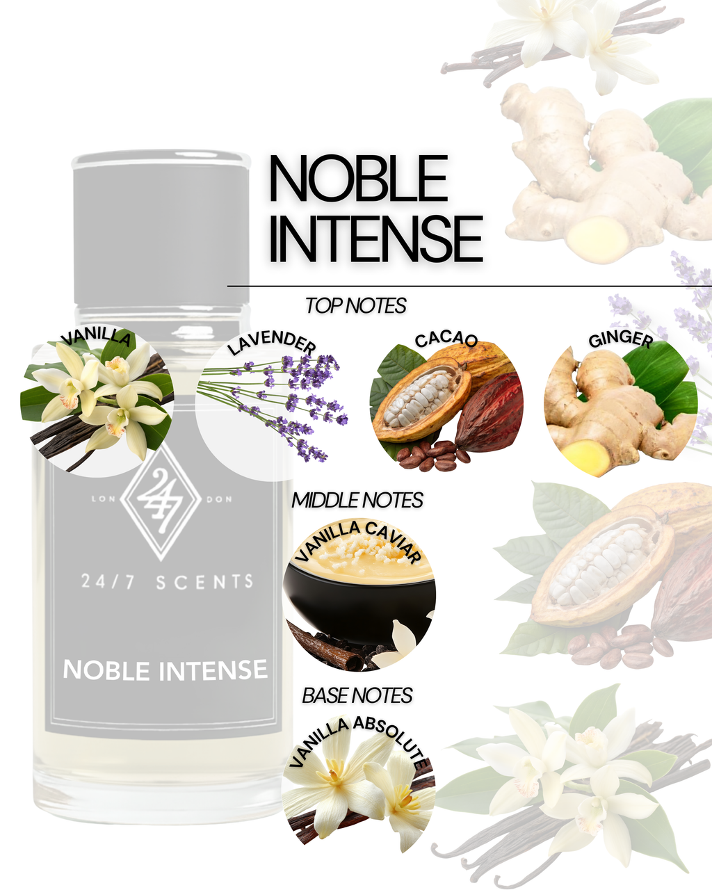 Noble Intense Eau de Parfum (50ml). A rich vanilla fragrance with cacao, ginger, and lavender. Long-lasting, elegant, and luxurious.