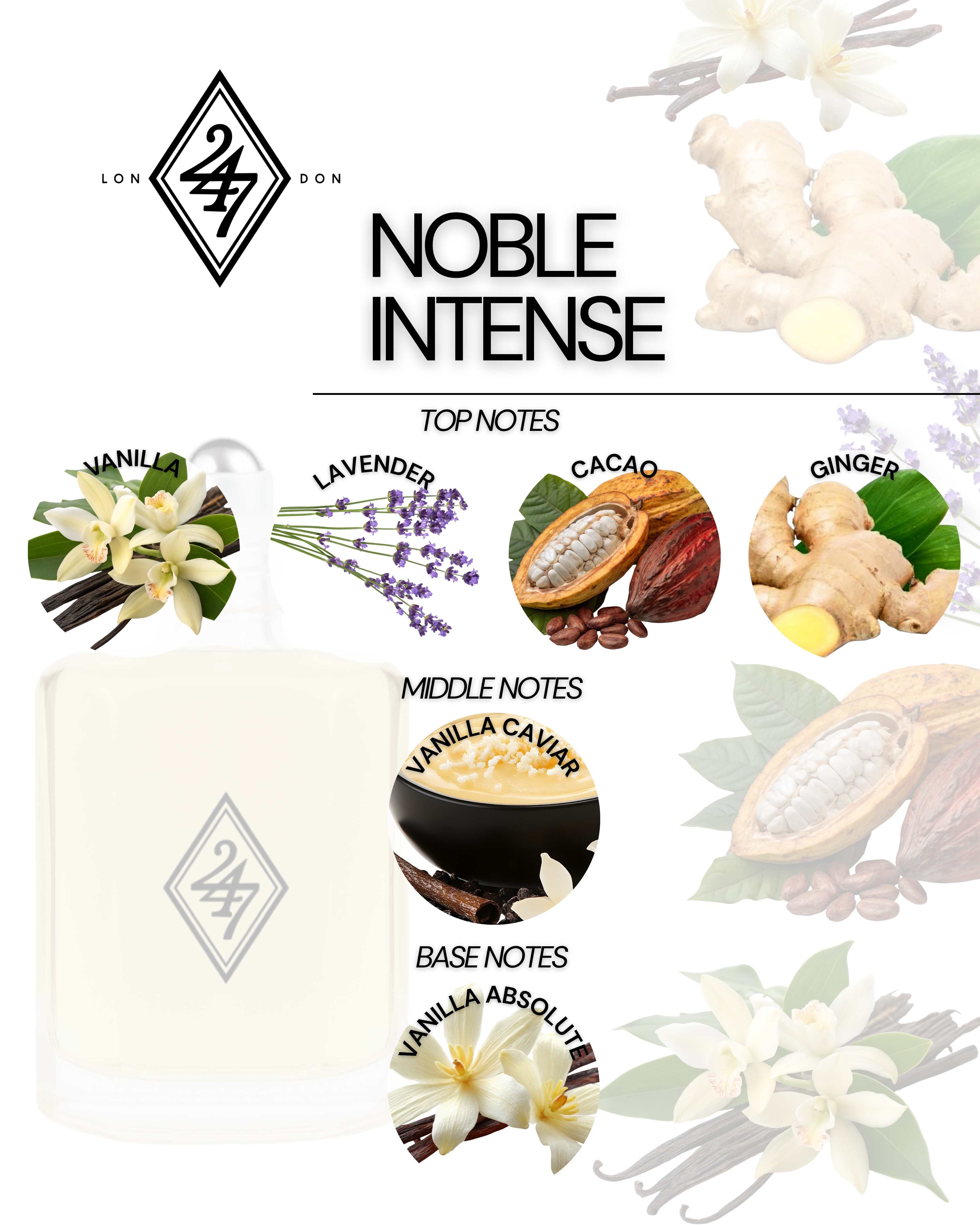 Noble Intense Fragrance Oil – Available in 3ml, 6ml, 12ml & 24ml. A rich vanilla fragrance with cacao, lavender & warm notes. Elegant & long-lasting.