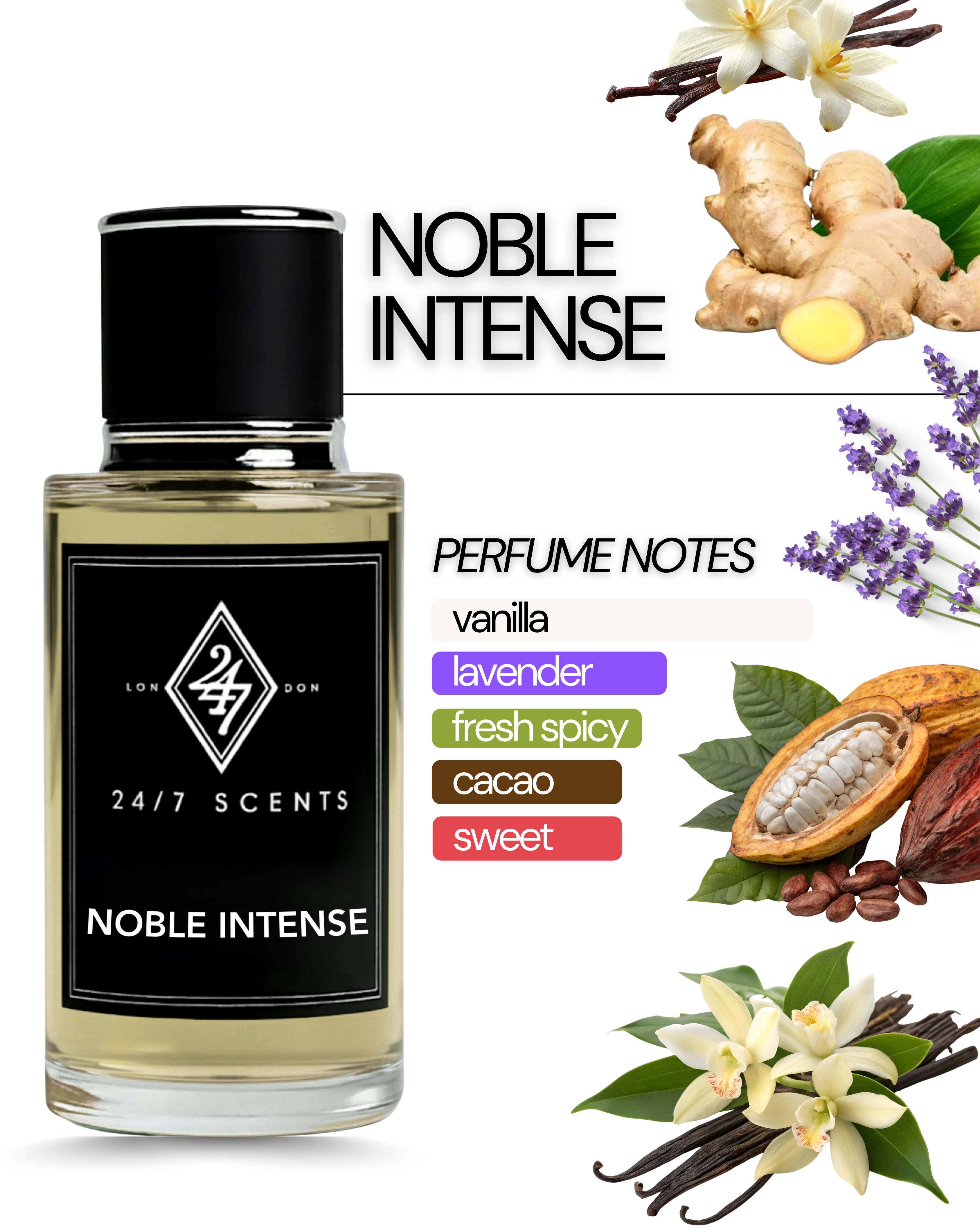 Noble Intense Eau de Parfum (50ml). A rich vanilla fragrance with cacao, ginger, and lavender. Long-lasting, elegant, and luxurious.