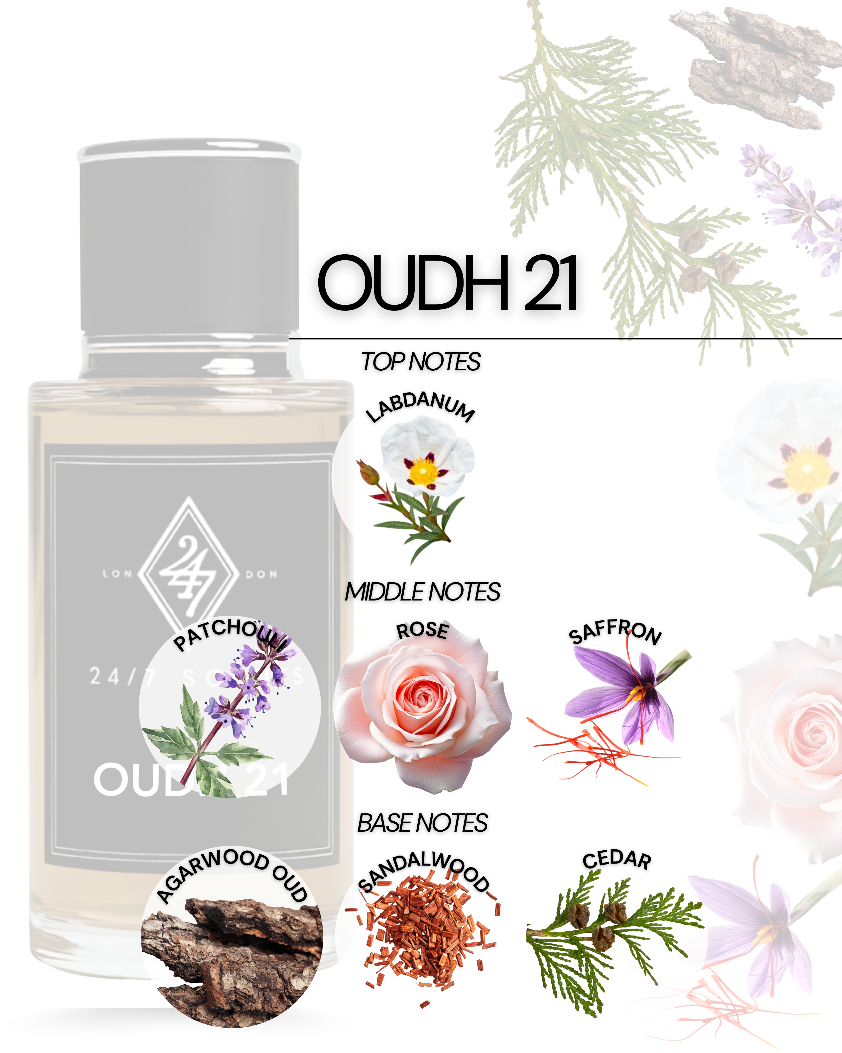 Oudh 21 Eau de Parfum (50ml). A refined oud fragrance with rose, patchouli & sandalwood. Sophisticated, warm & long-lasting.