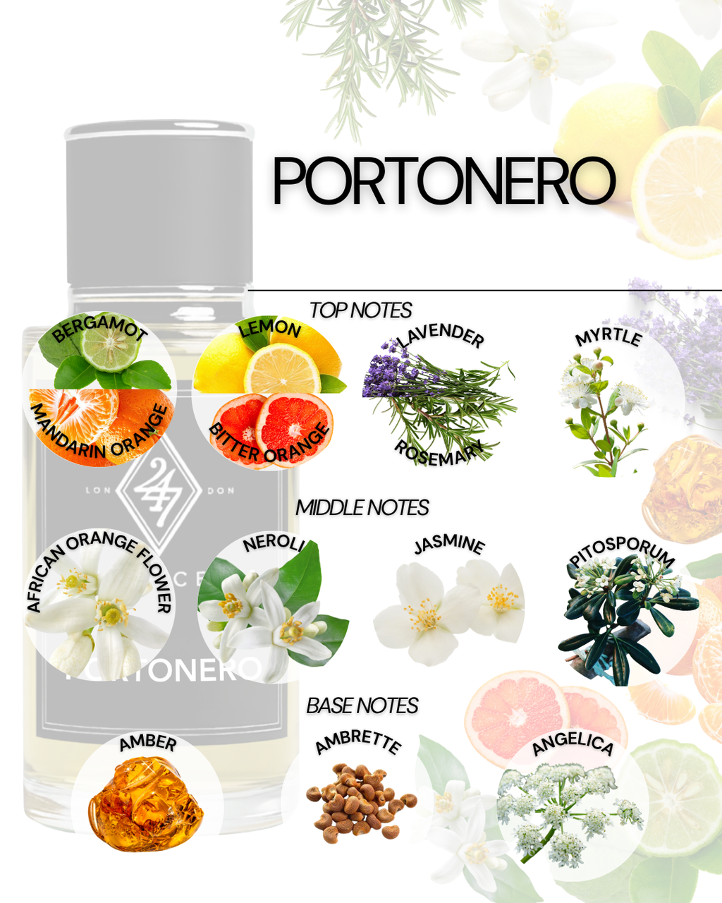 Portonero Eau de Parfum (50ml). A fresh blend of citrus, herbs & amber. Elegant, aromatic & long-lasting unisex fragrance.