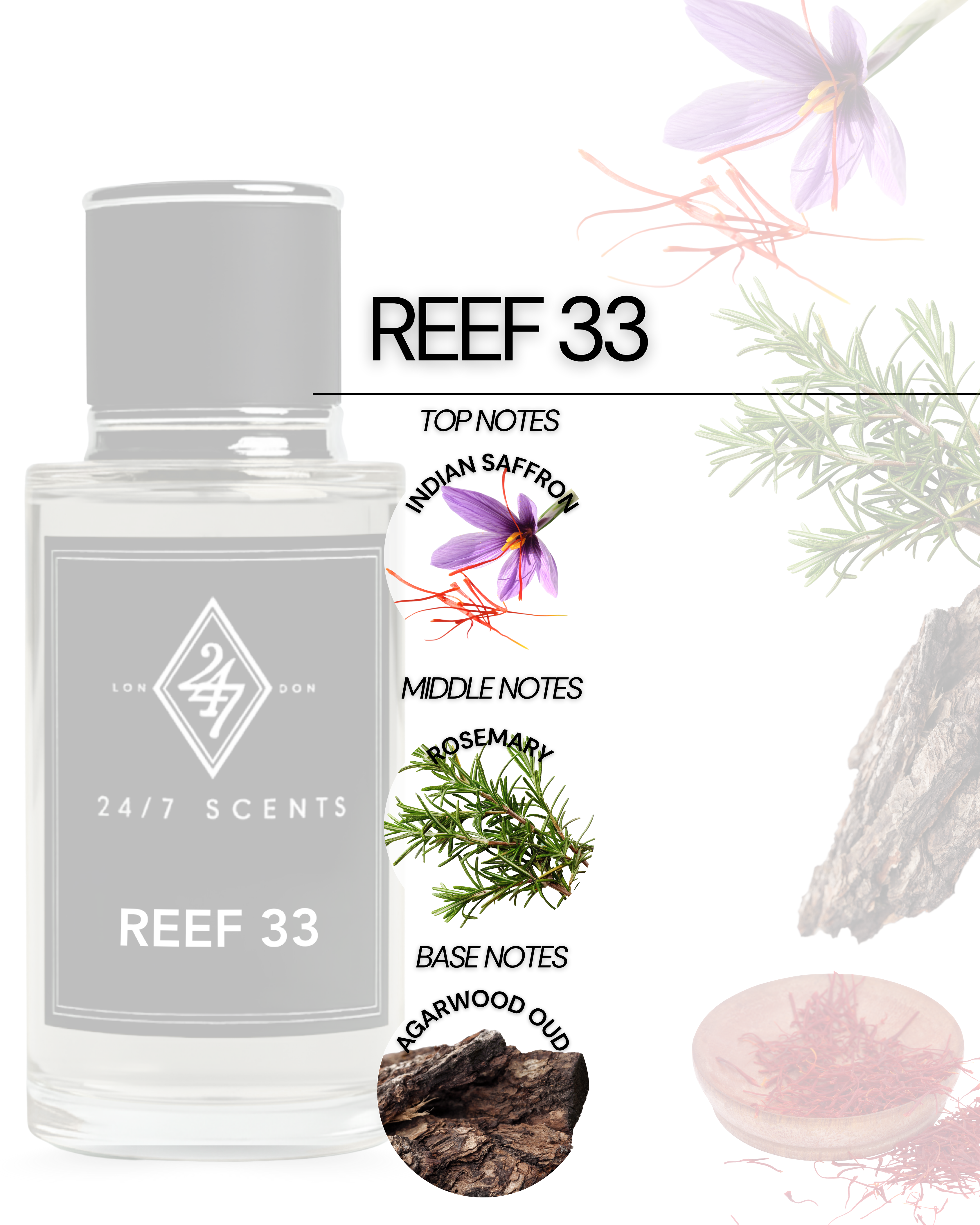 Reef 33 Eau de Parfum 50ml – A luxurious unisex fragrance with Indian saffron, rosemary, and a deep agarwood (oud) base. Bold, woody & long-lasting.