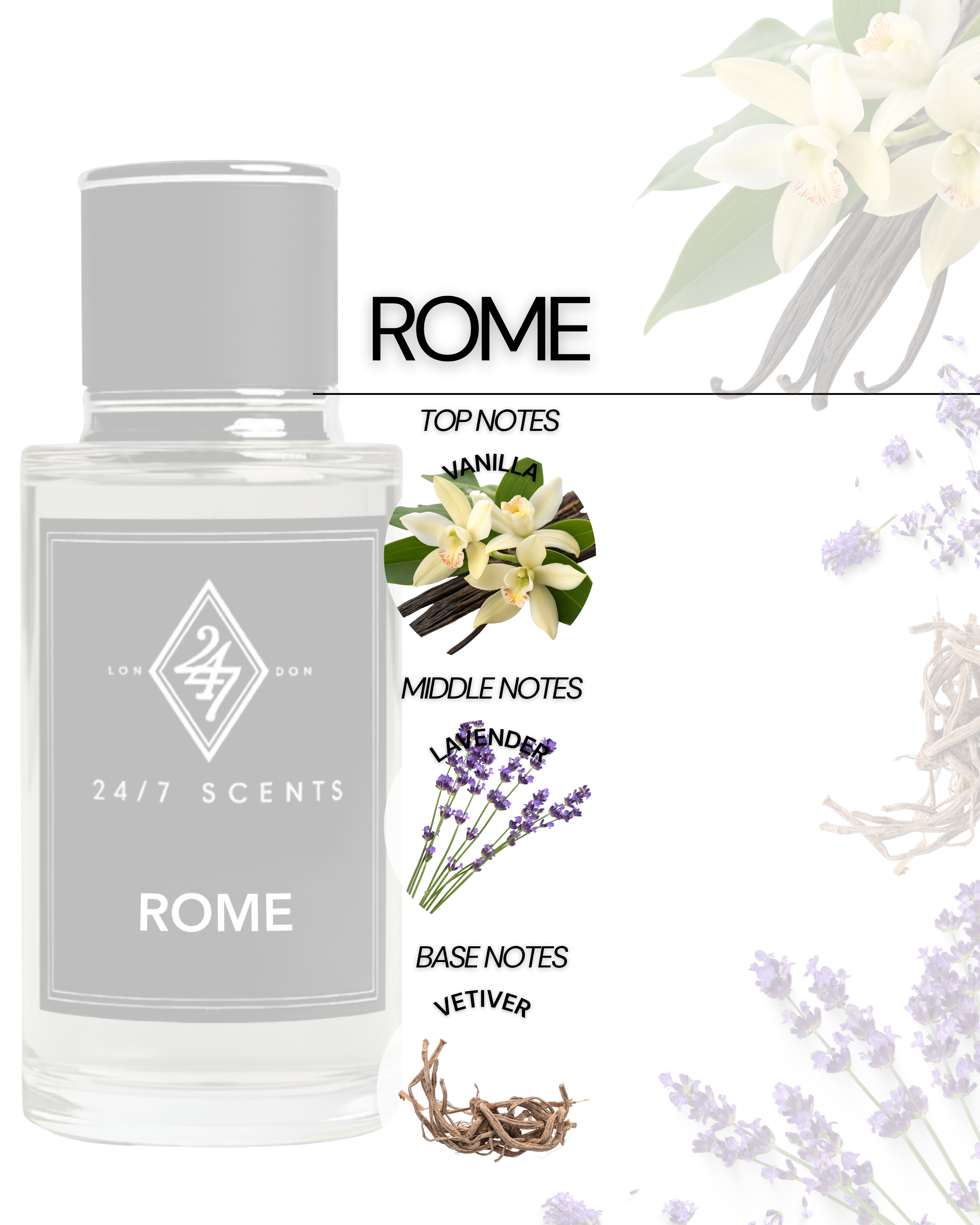 Rome Eau de Parfum 50ml – A refined unisex fragrance with vanilla top notes, lavender heart, and an earthy vetiver base. Modern, elegant & long-lasting.
