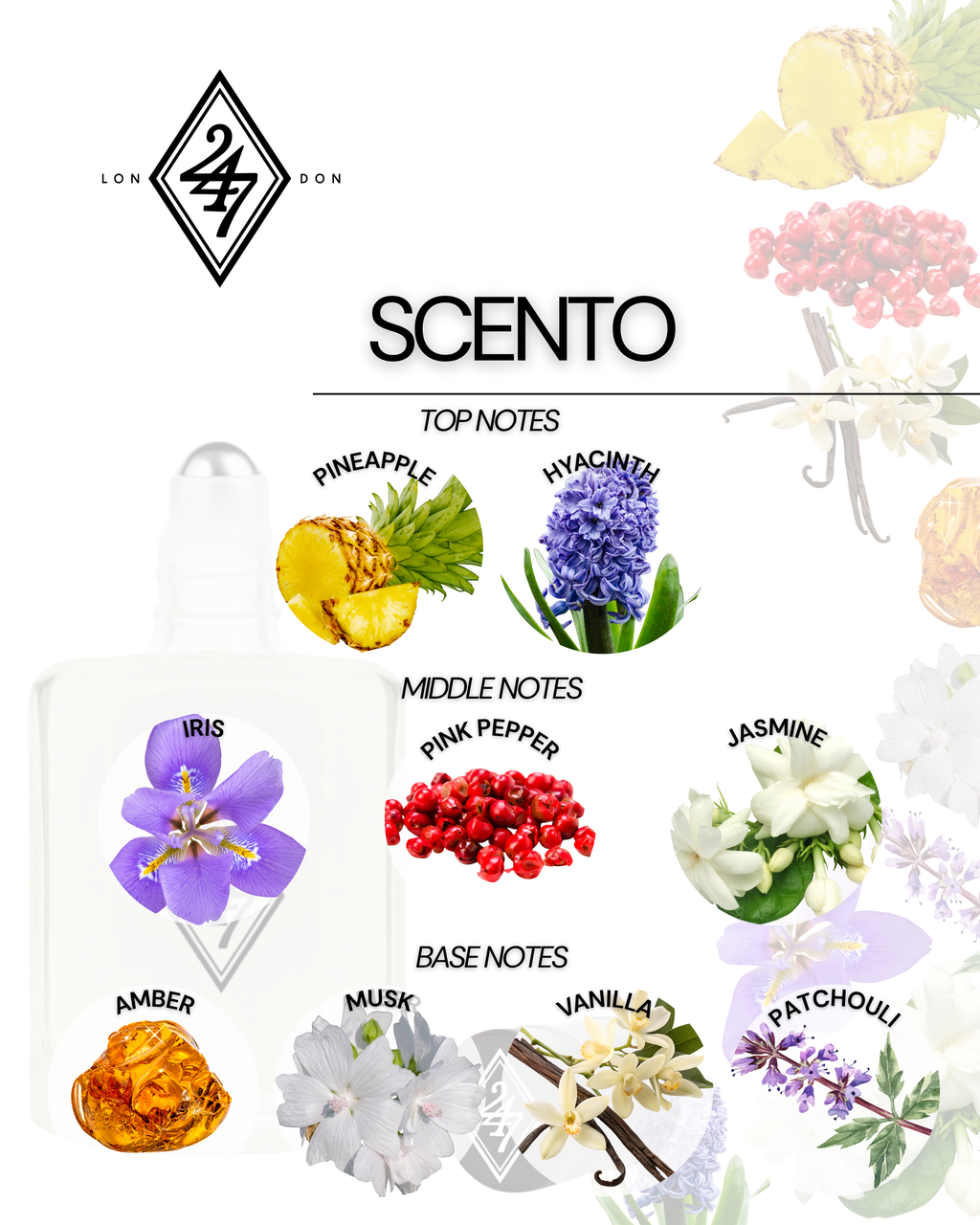 Scento Fragrance Oil – Available in 3ml, 6ml, 12ml & 24ml. A luxury alcohol-free oil with pineapple, jasmine & amber. Elegant, long-lasting & skin-friendly.