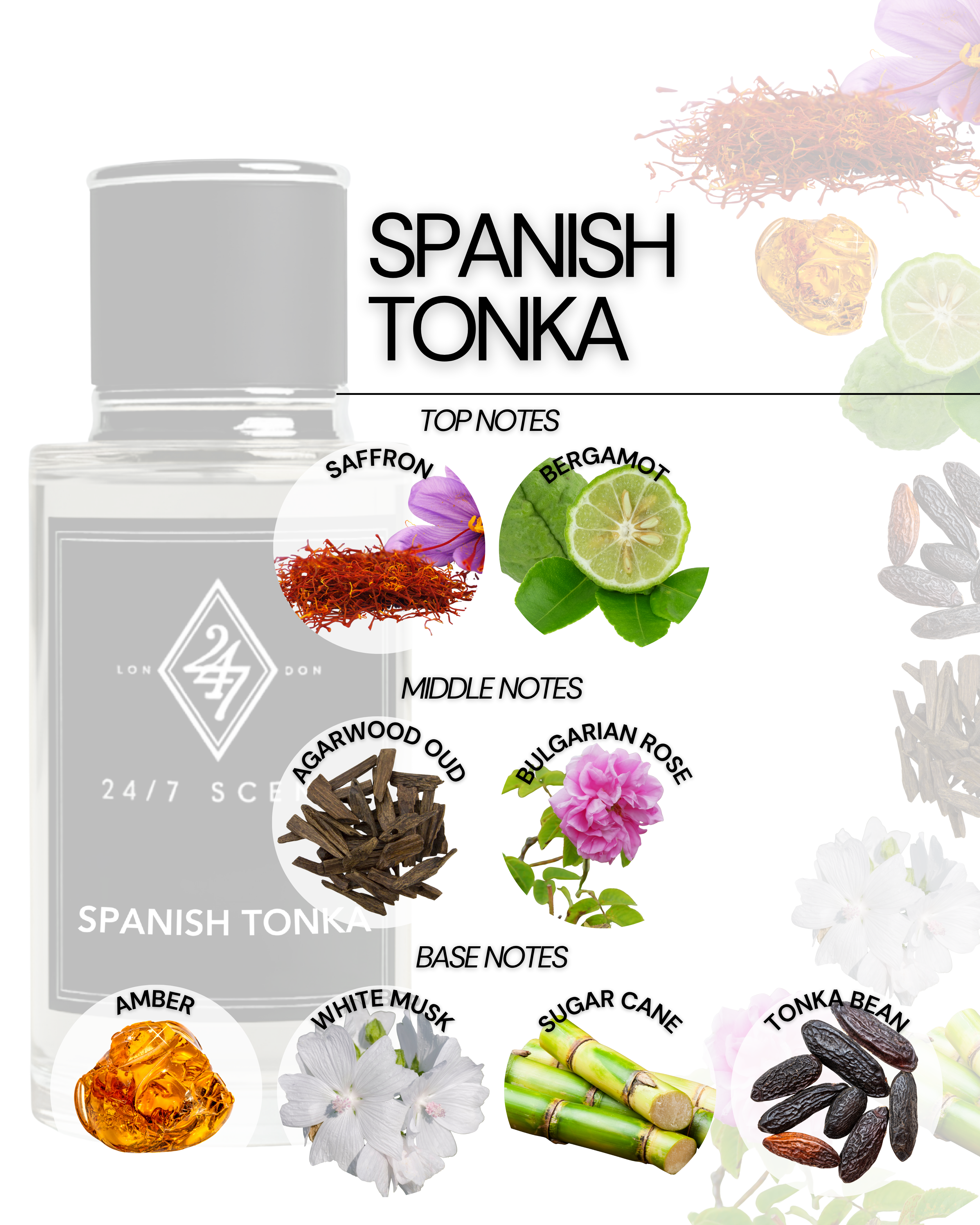 Spanish Tonka Eau de Parfum 50ml – A unisex fragrance with saffron & bergamot top notes, oud & Bulgarian rose heart, and a warm base of amber, white musk, sugar cane & tonka bean. Luxurious, sweet & long-lasting.