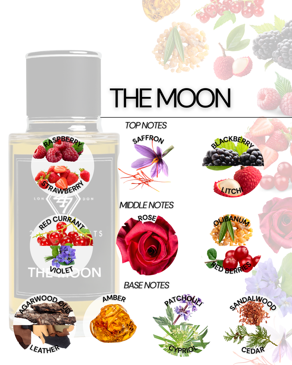 The Moon Eau de Parfum (50ml). A luxurious blend of berries, rose, oud & amber. Elegant, bold & long-lasting unisex fragrance.