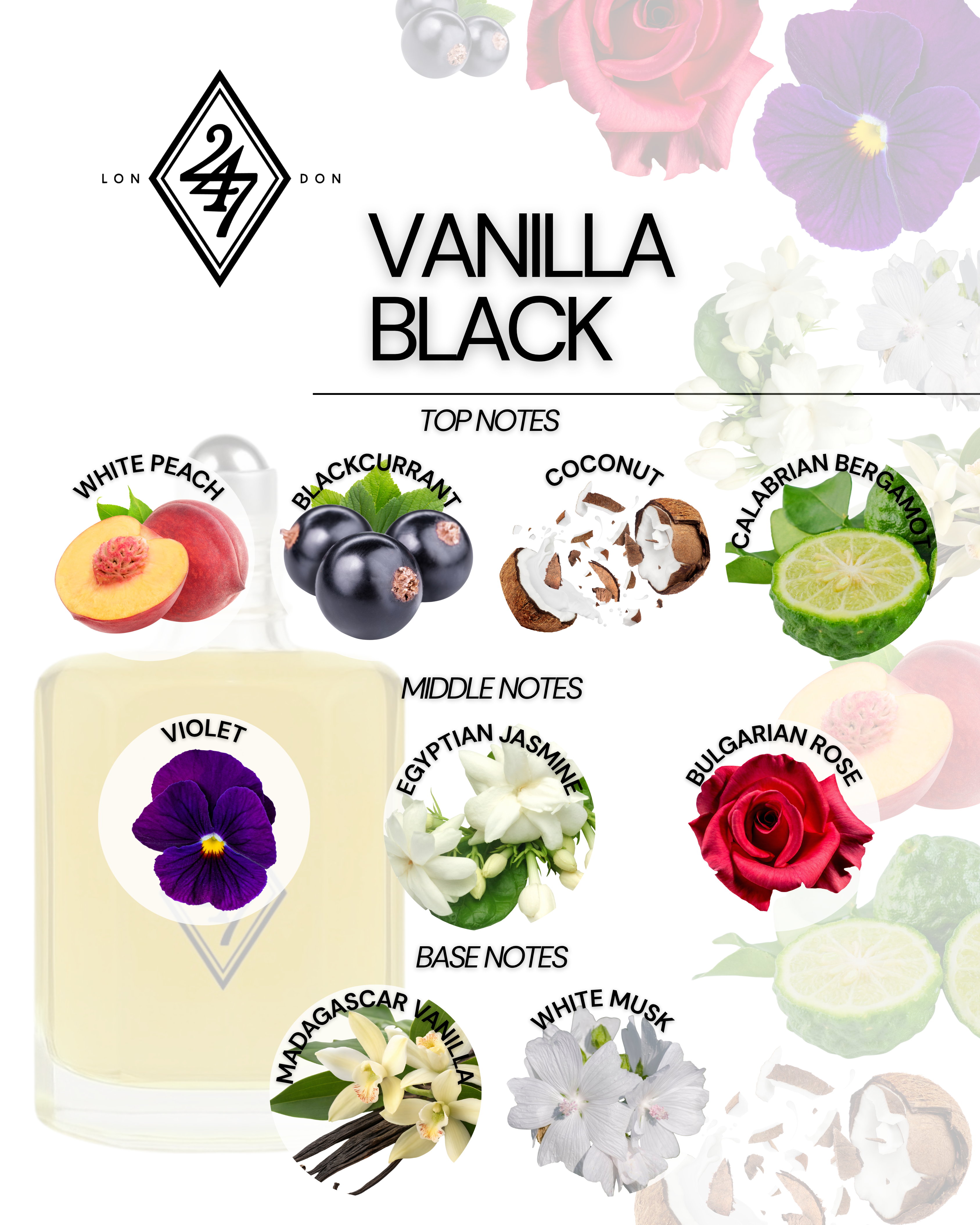 Vanilla Black Fragrance Oil – Available in 3ml, 6ml, 12ml & 24ml. Fruity, floral, and creamy vanilla blend. Luxurious, unisex, and long-lasting.