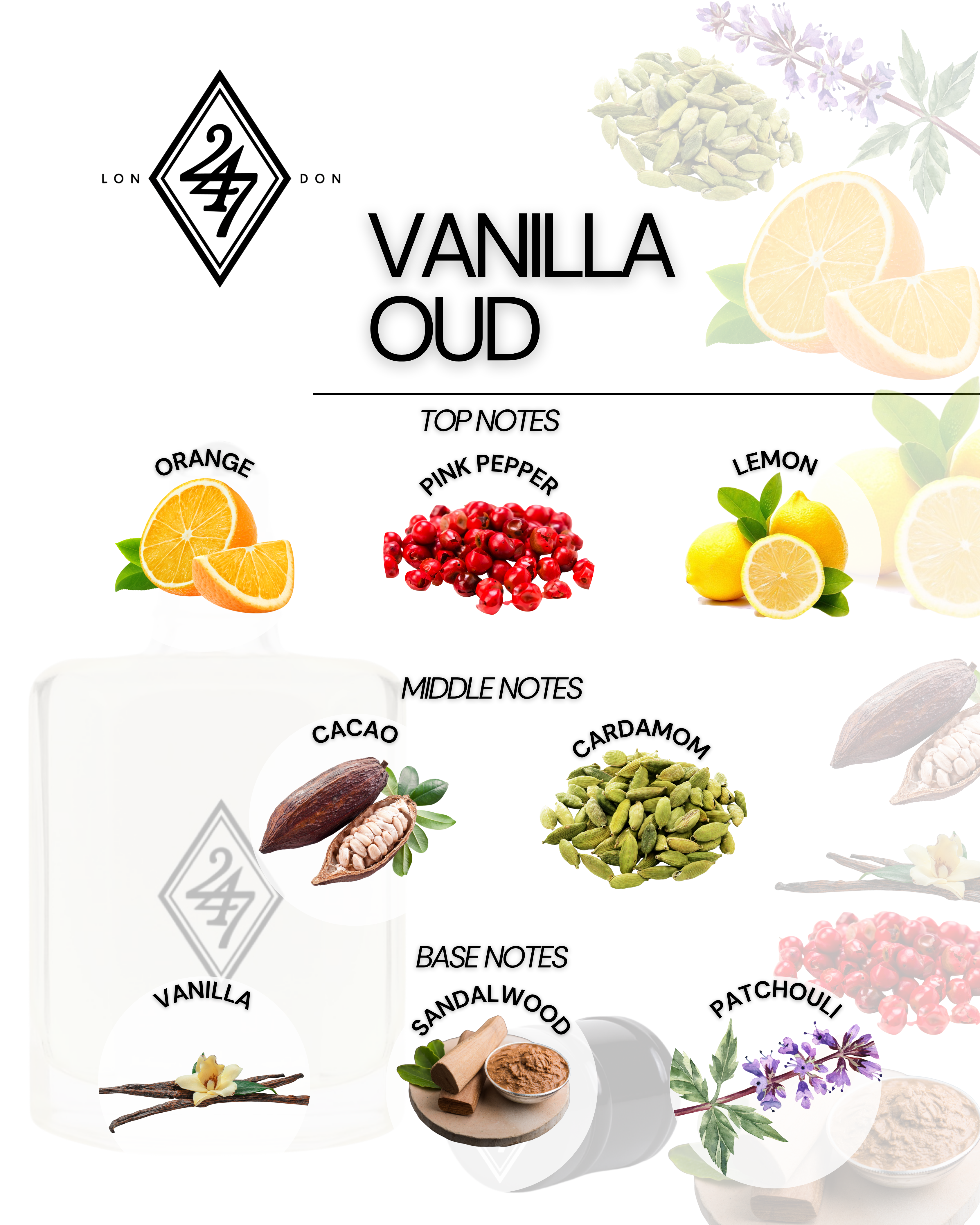 Vanilla Oud Perfume Oil – Alcohol-free fragrance oil with orange, pink pepper & lemon top notes, cacao & cardamom heart, and a smooth vanilla, sandalwood & patchouli base. Long-lasting & available in 3ml, 6ml, 12ml & 24ml.