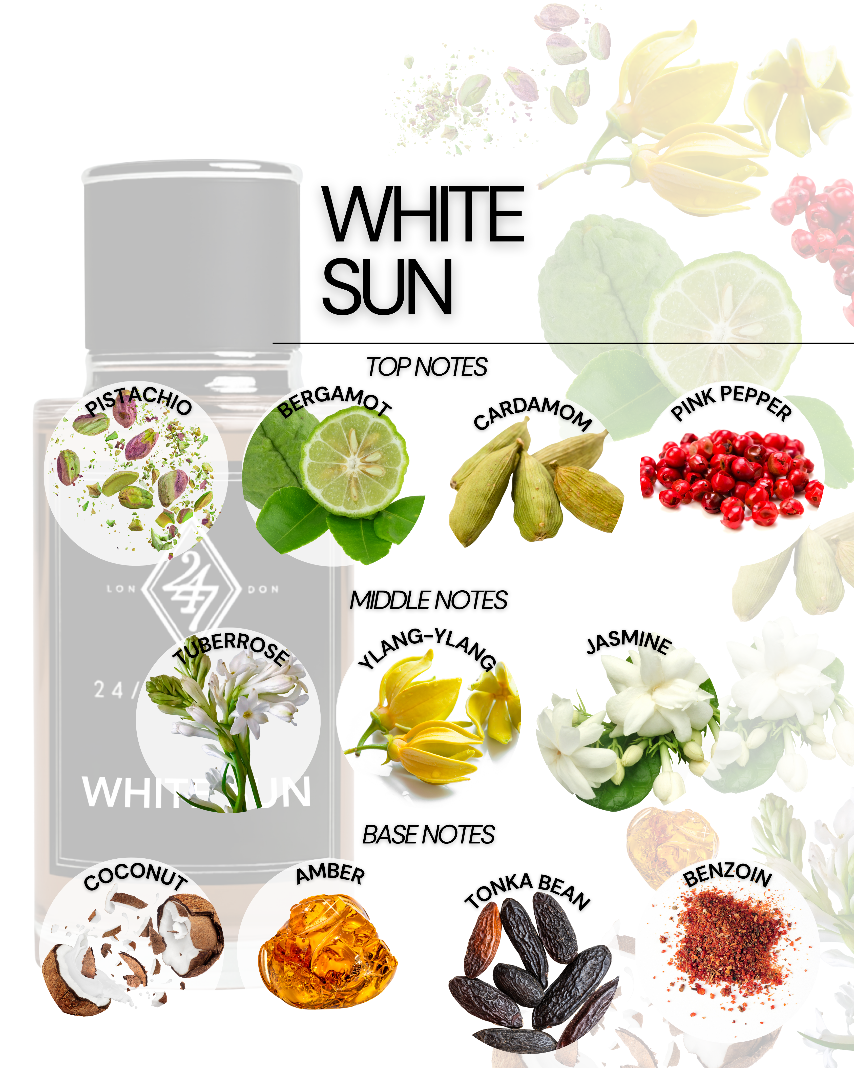 White Sun Eau de Parfum (50ml). A radiant fragrance with bergamot, jasmine, coconut, and amber. Exotic, elegant, and long-lasting.